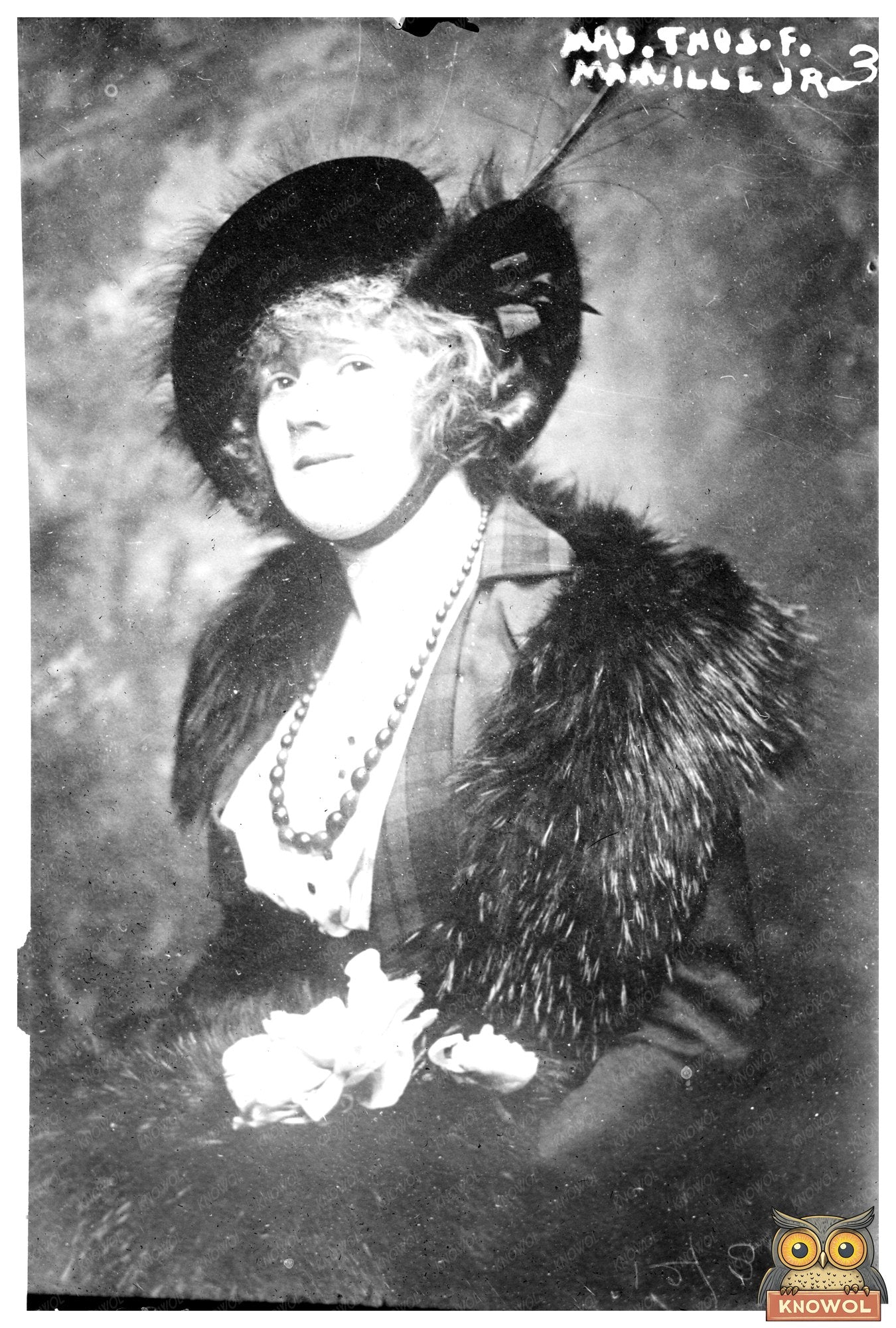 Elegant Early 20th Century Society Lady Portrait