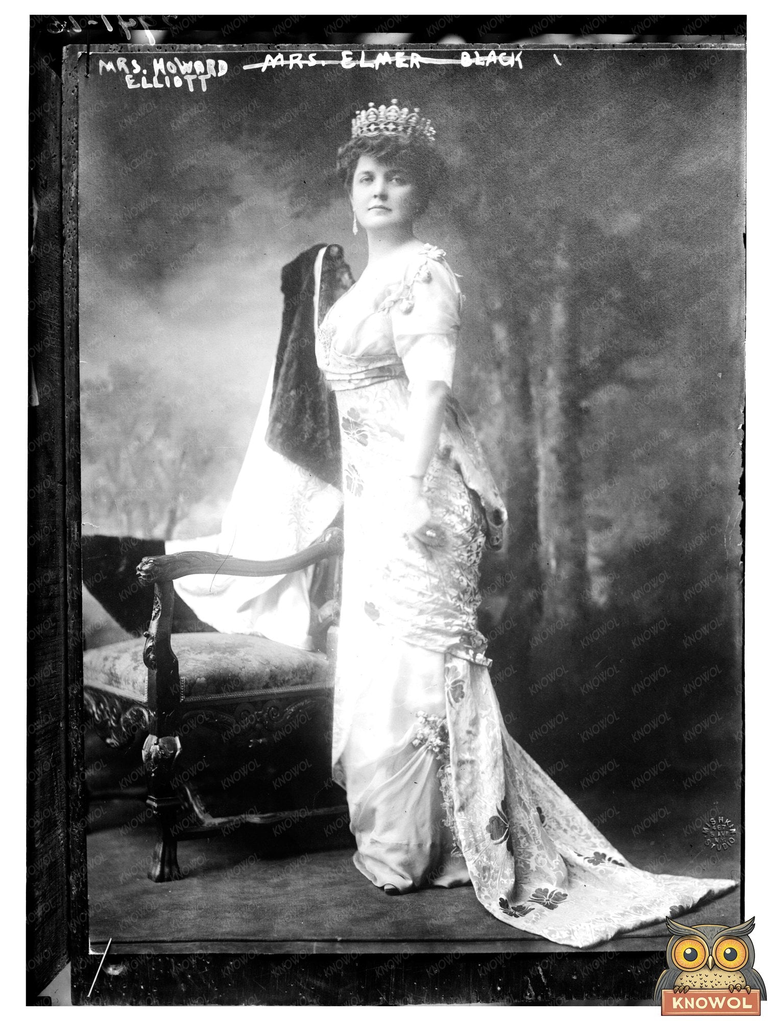 Elegant Portrait of Mrs. Howard Elliott, Circa 1910