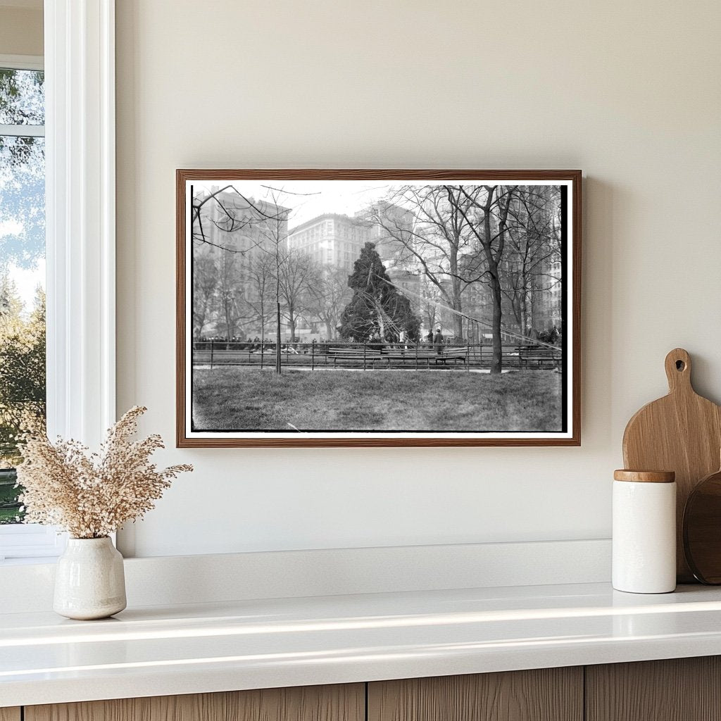 Festive 1913 Christmas Tree in Madison Square, NYC