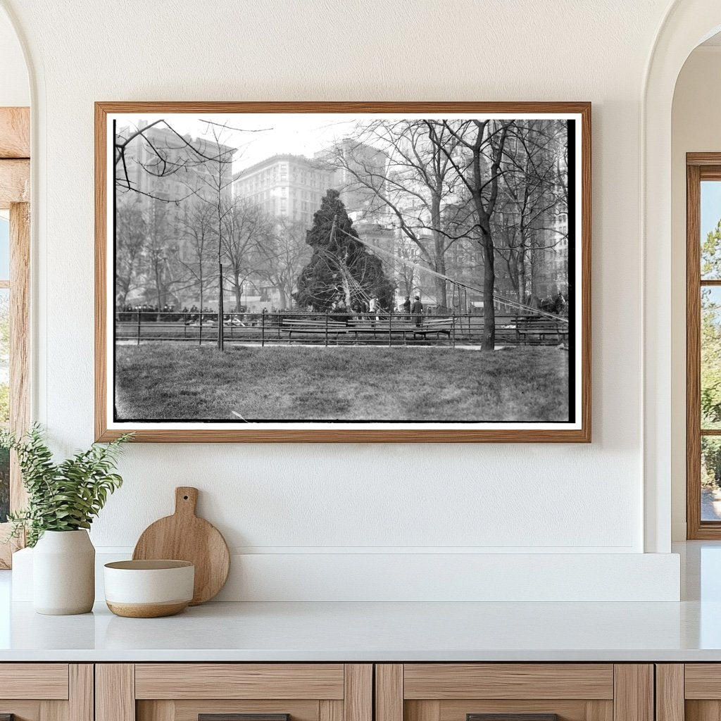 Festive 1913 Christmas Tree in Madison Square, NYC