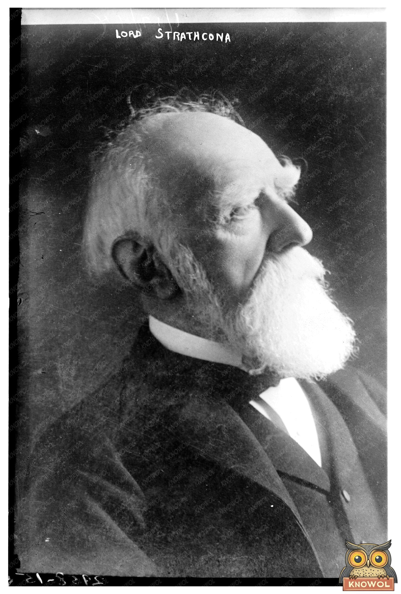 Portrait of Lord Strathcona: Canadian Icon (1910s)