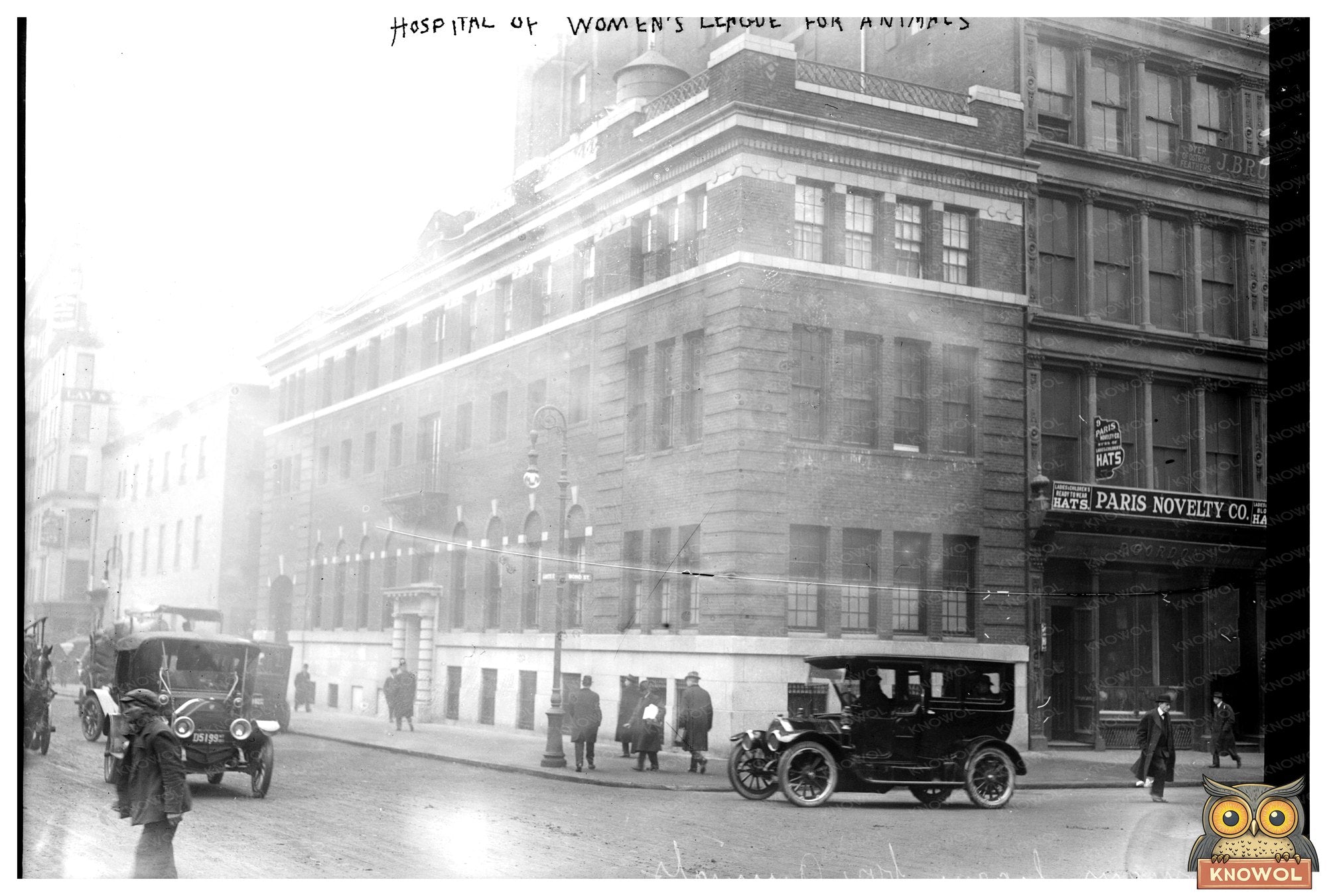 1914 Animal Care: Womens League Hospital Photo