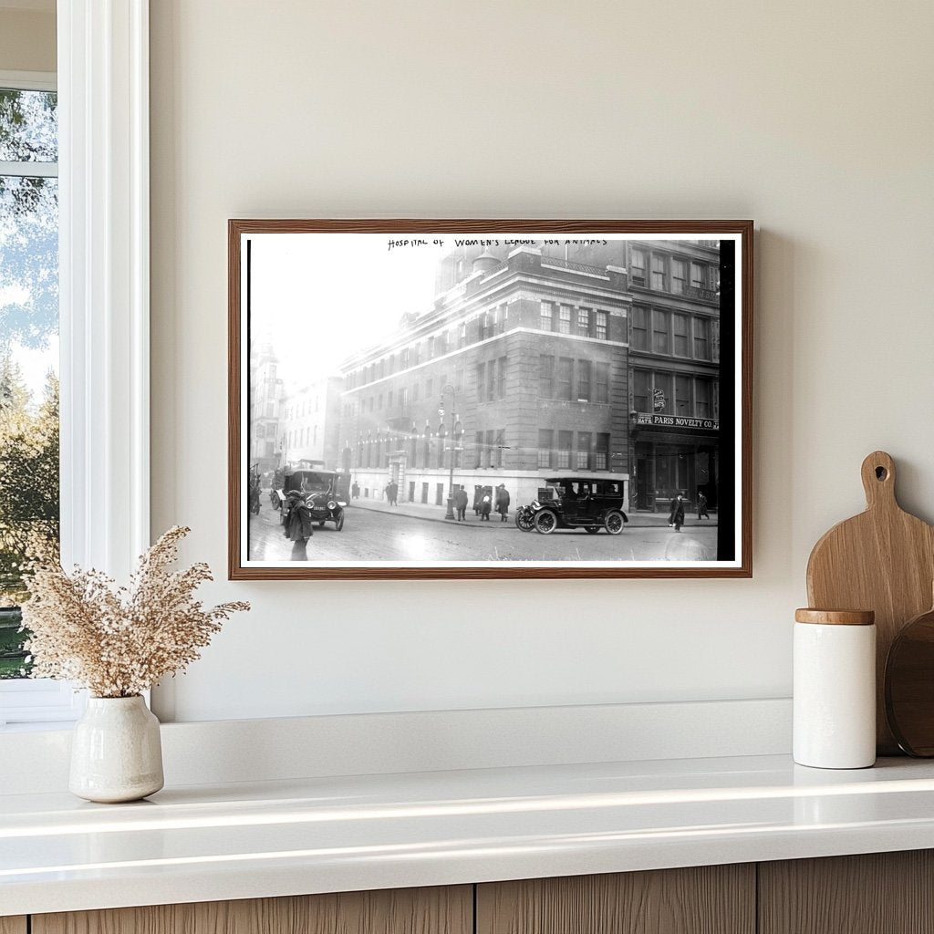 1914 Animal Care: Womens League Hospital Photo