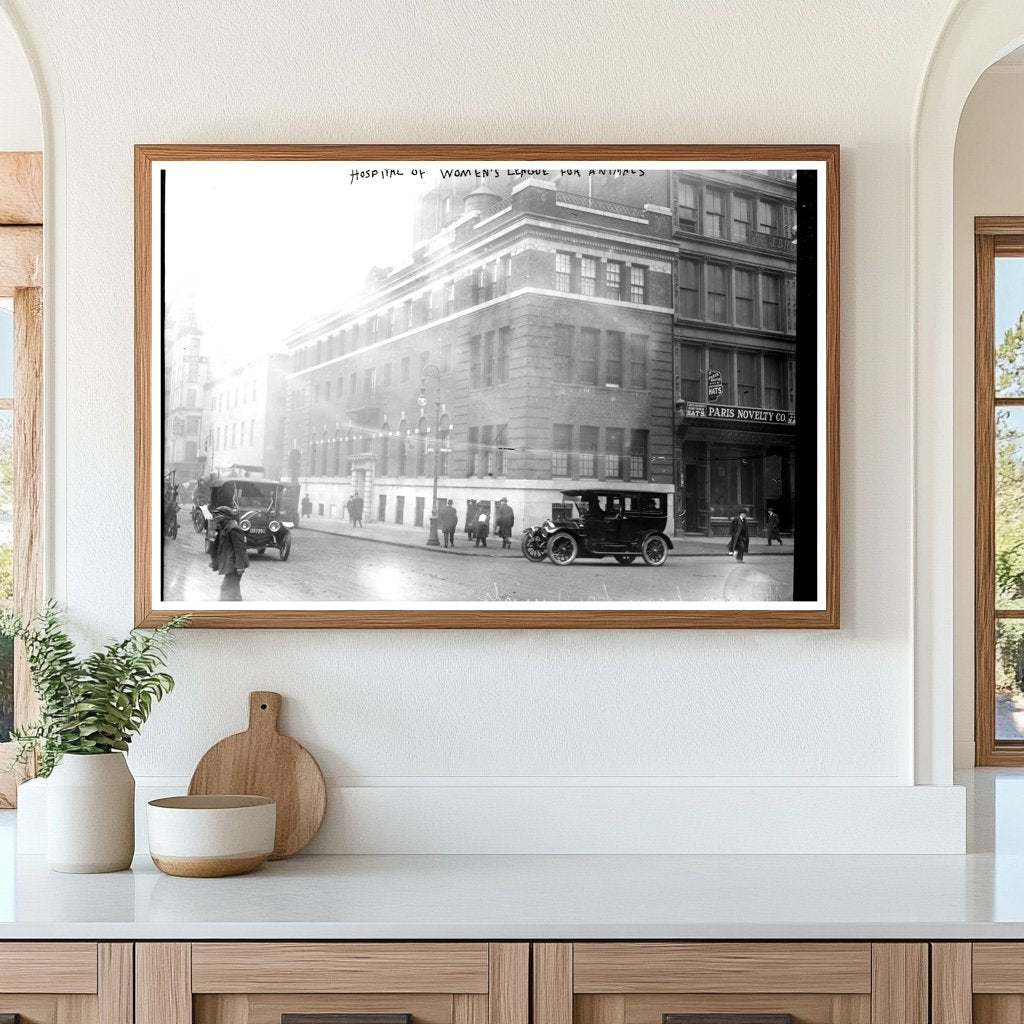 1914 Animal Care: Womens League Hospital Photo