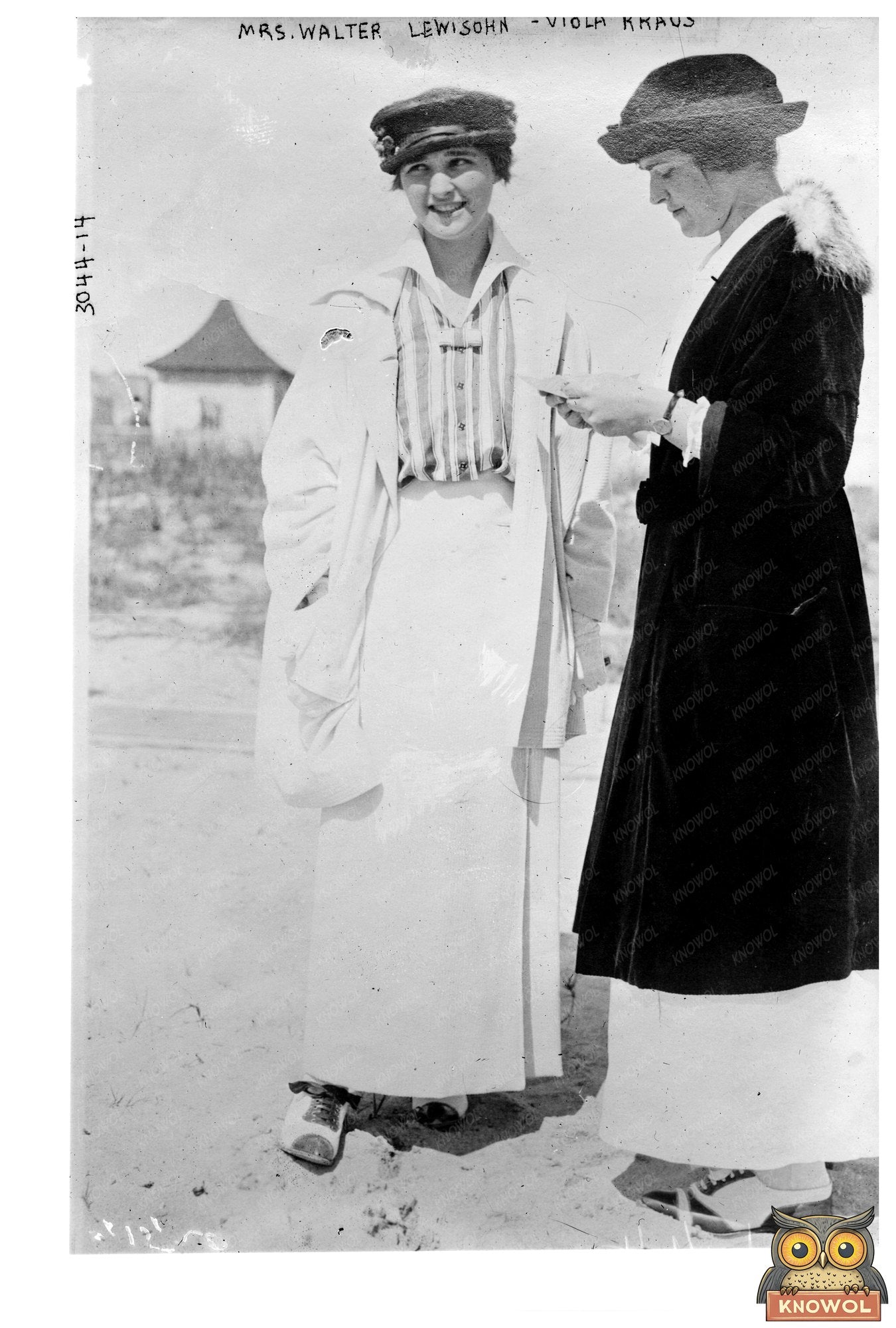 Elegant Society Portrait of Viola Kraus, 1910s
