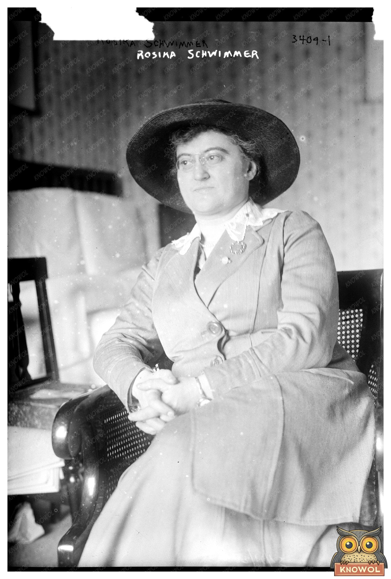 Advocate for Change: Rosika Schwimmer, 1910s