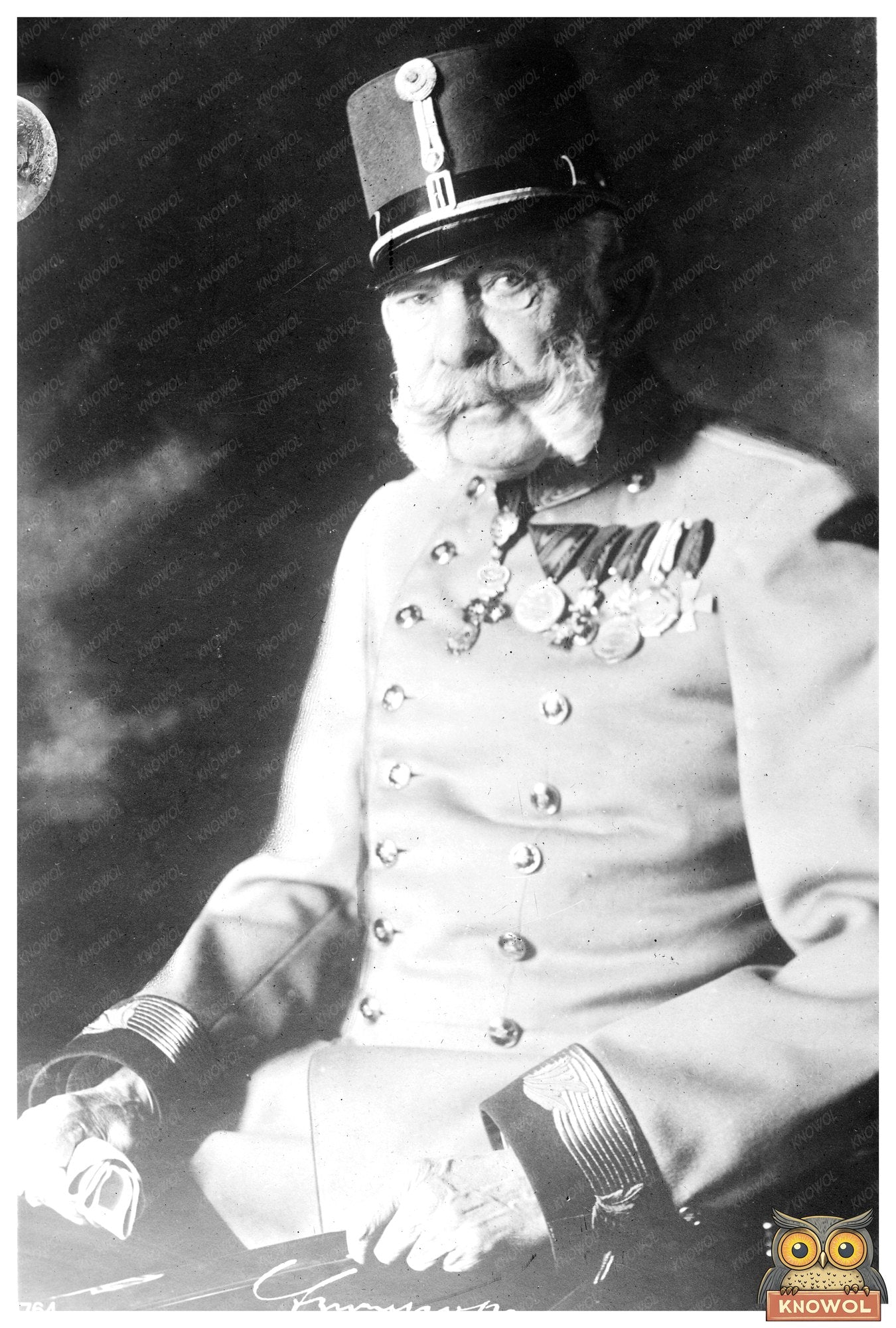 Regal Portrait of the Last Austrian Emperor, 1910s