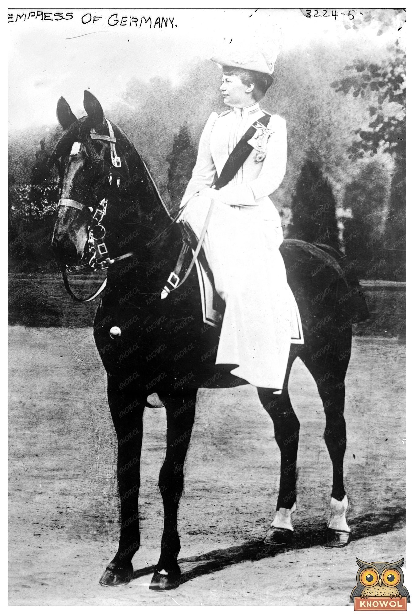 Late Imperial Elegance: Germanys Empress, 1910-1915