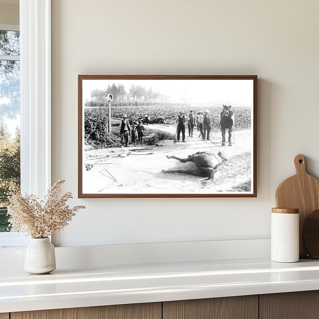 1914 Belgium: Haunting Aftermath of Battle Horses