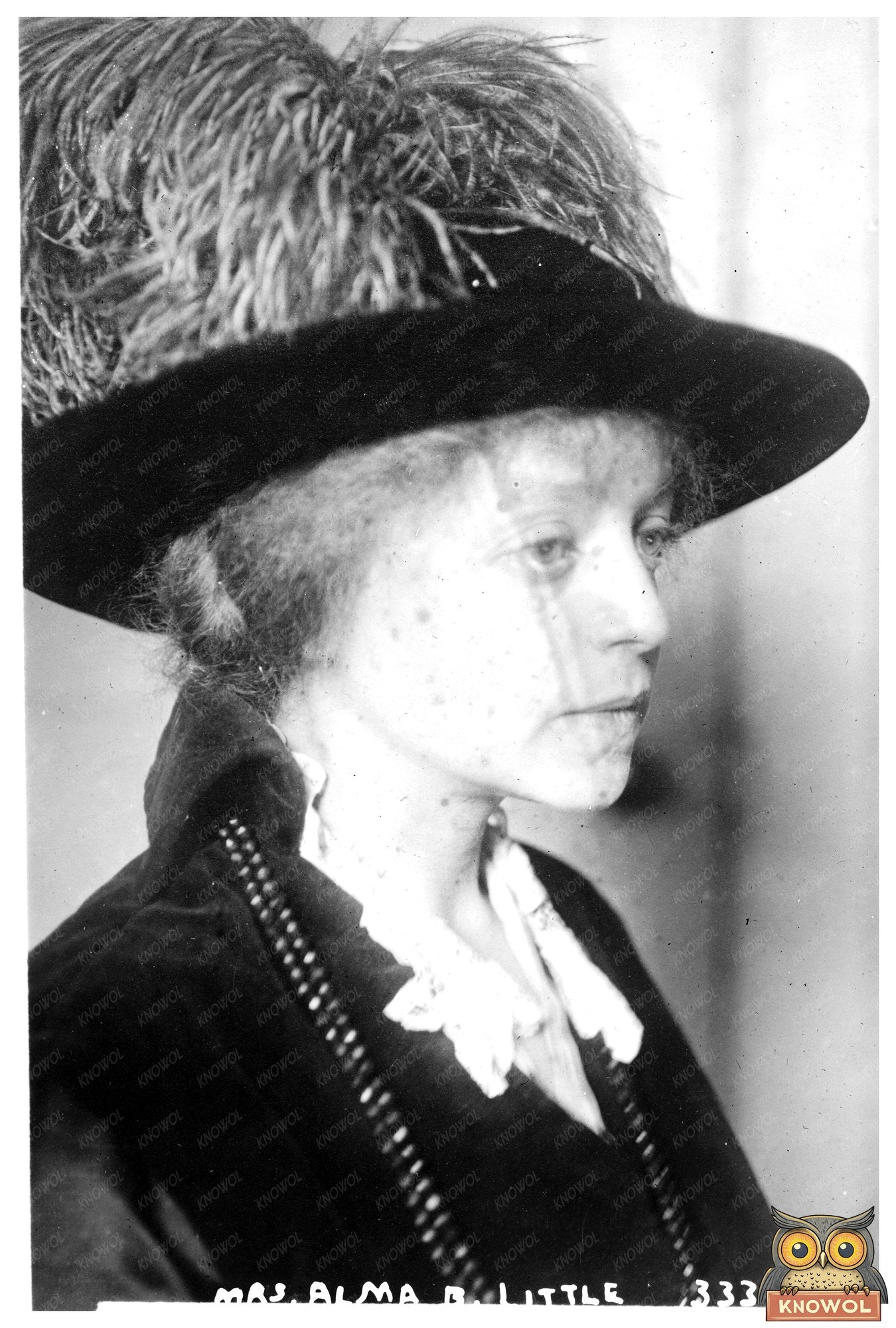 Elegant Society Portrait of Alma B. Little, 1910s