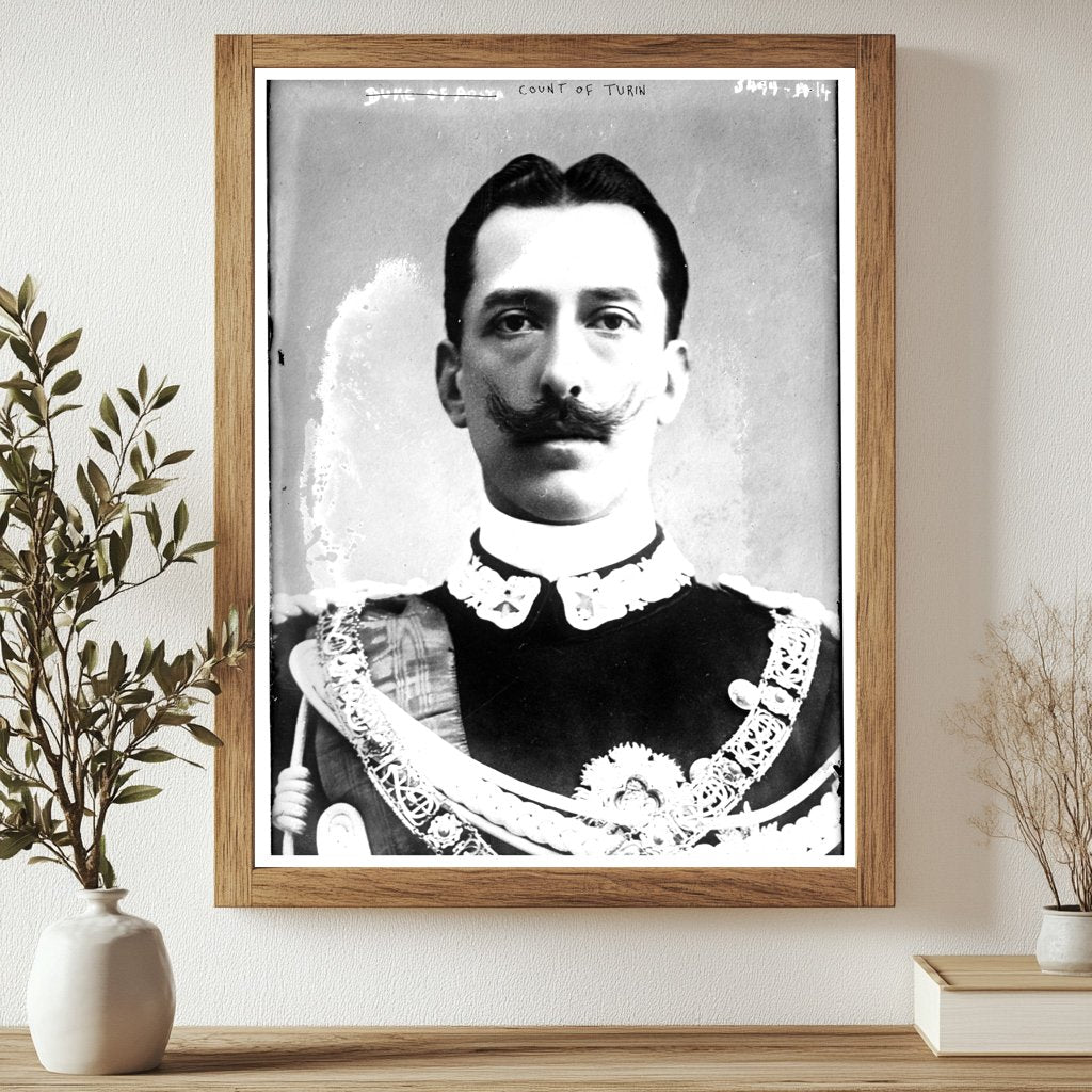 Historic Count of Turin Print, Vintage Art
