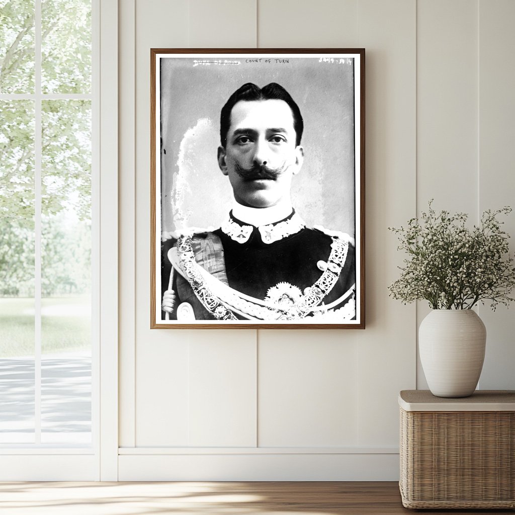 Historic Count of Turin Print, Vintage Art
