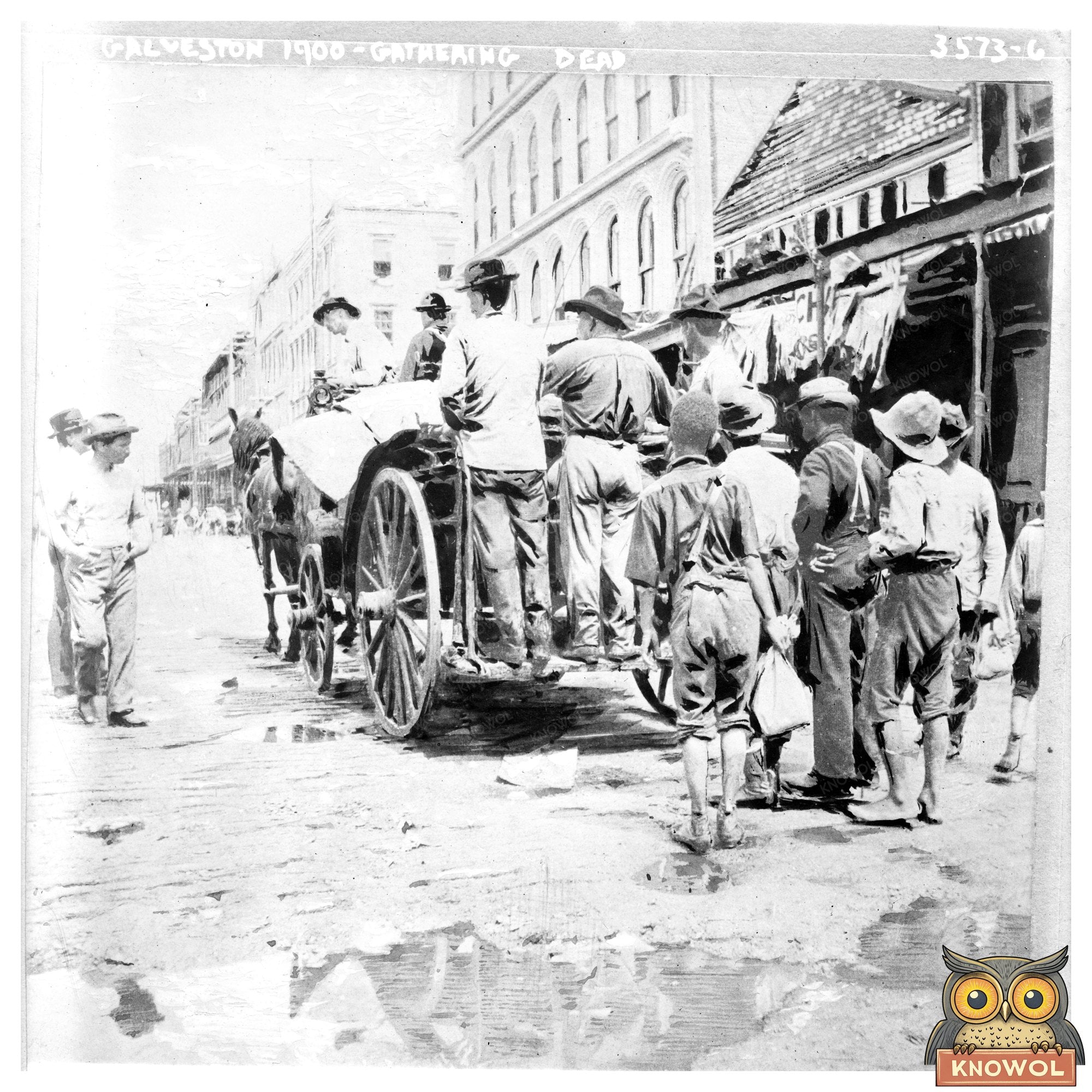 Grim Aftermath: Collecting Victims of Hurricane 1900