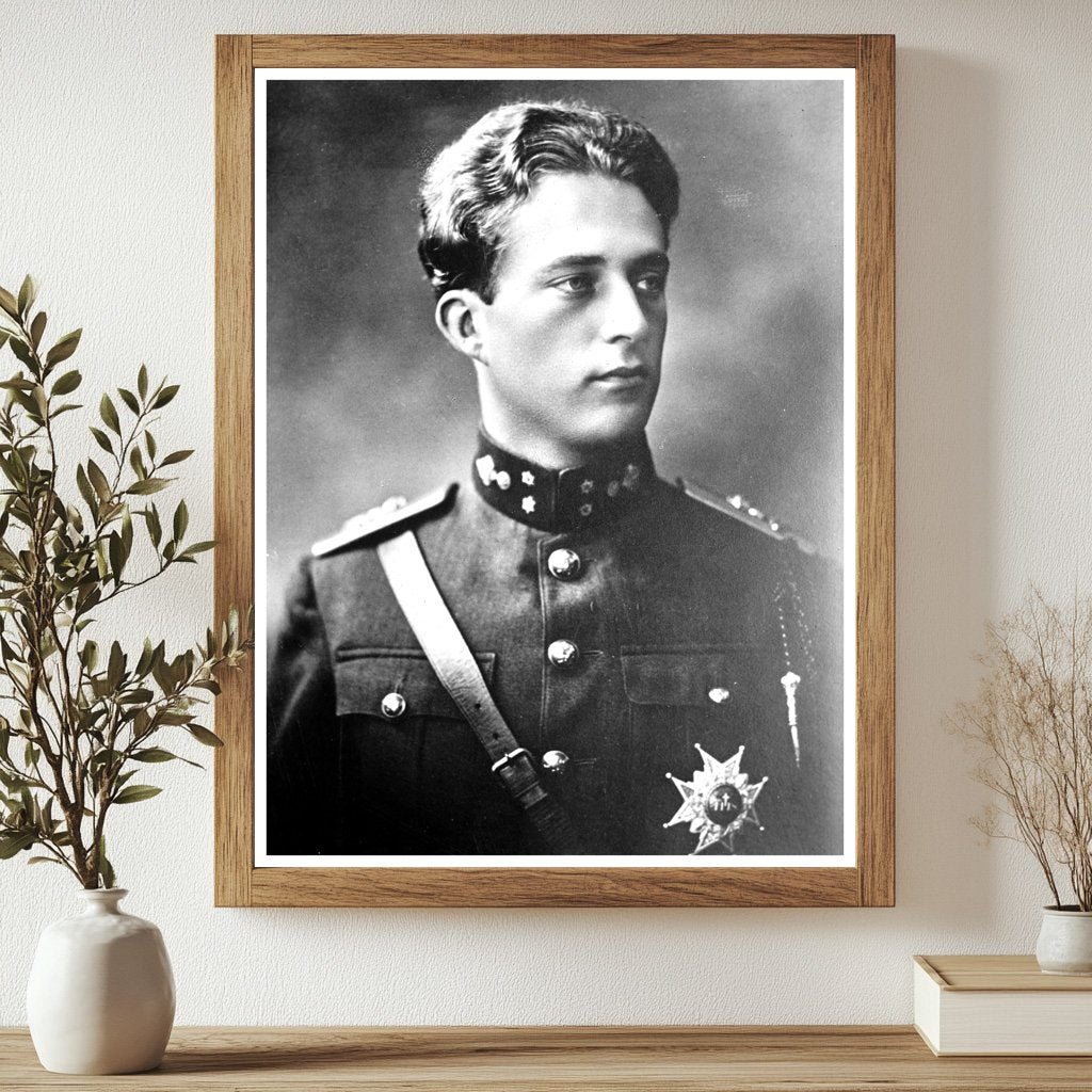 Historic Cr. Prince of Belg. Print, Vintage Art