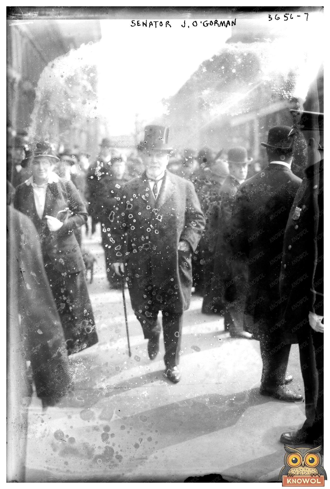 Early 20th Century Senator J. OGorman Portrait