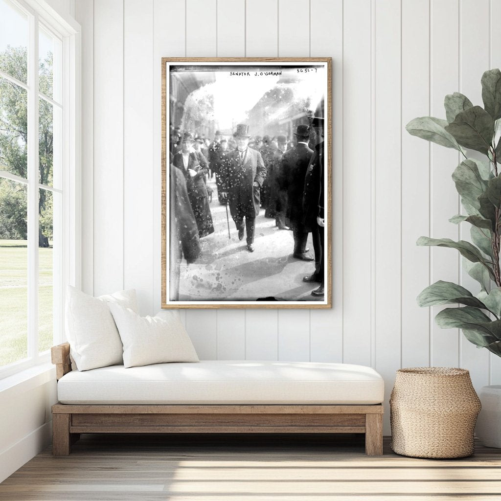 Early 20th Century Senator J. OGorman Portrait