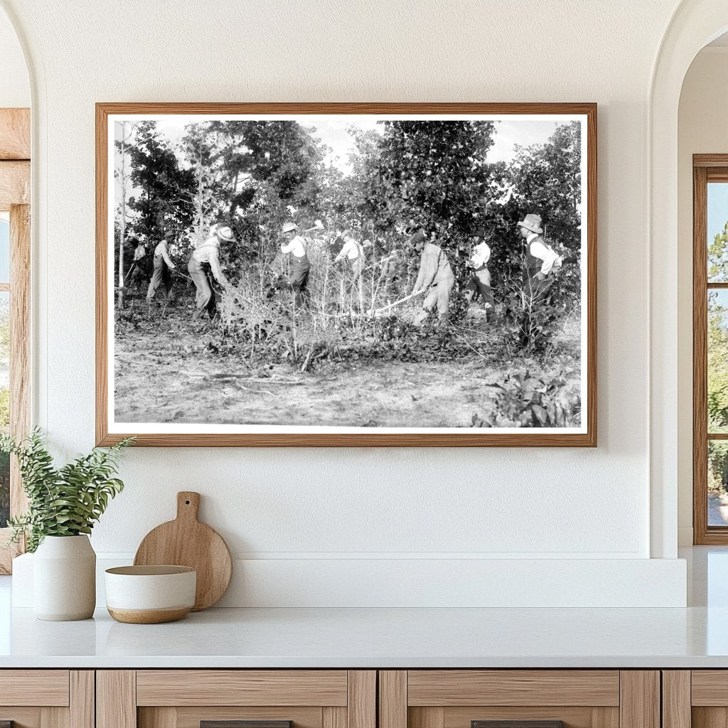 Daily Life in Early 1900s Tuskegee Labor