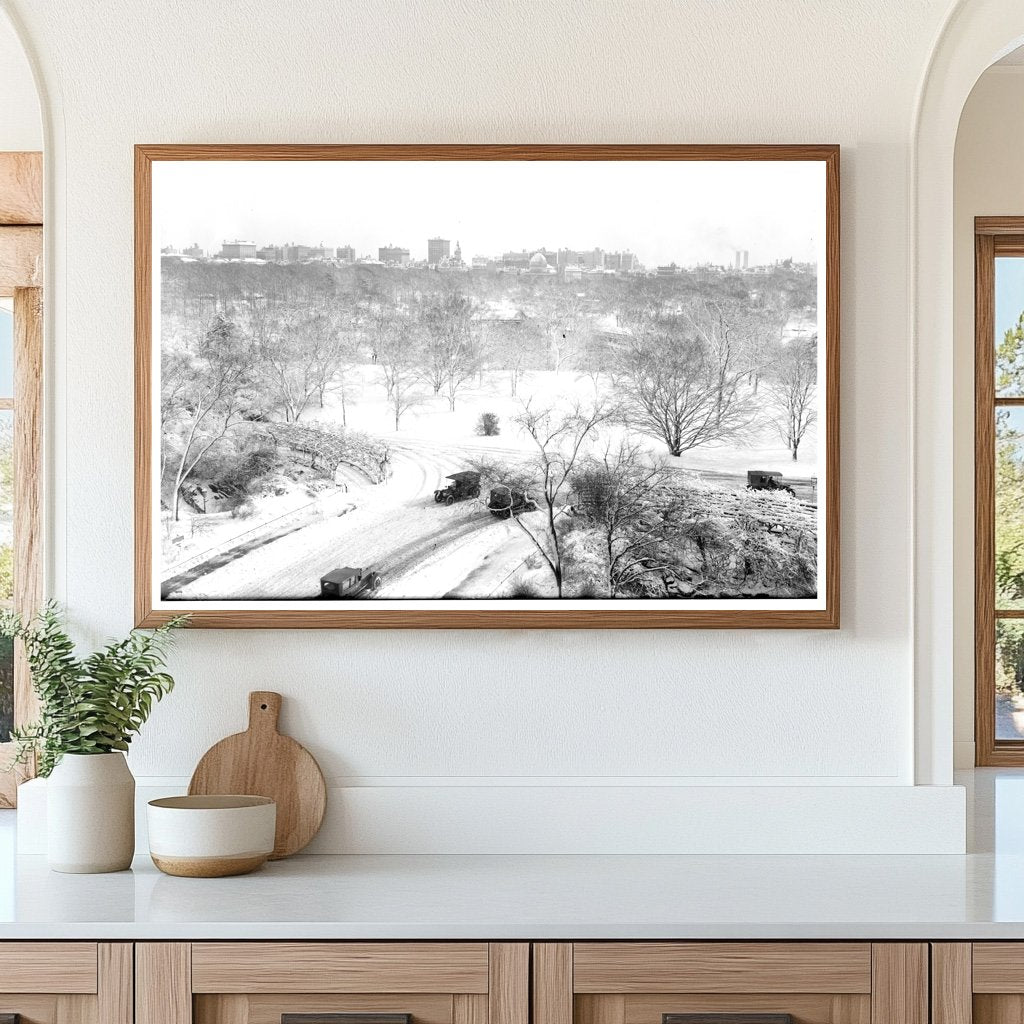 Charming Central Park Scene: New York, Early 1910s