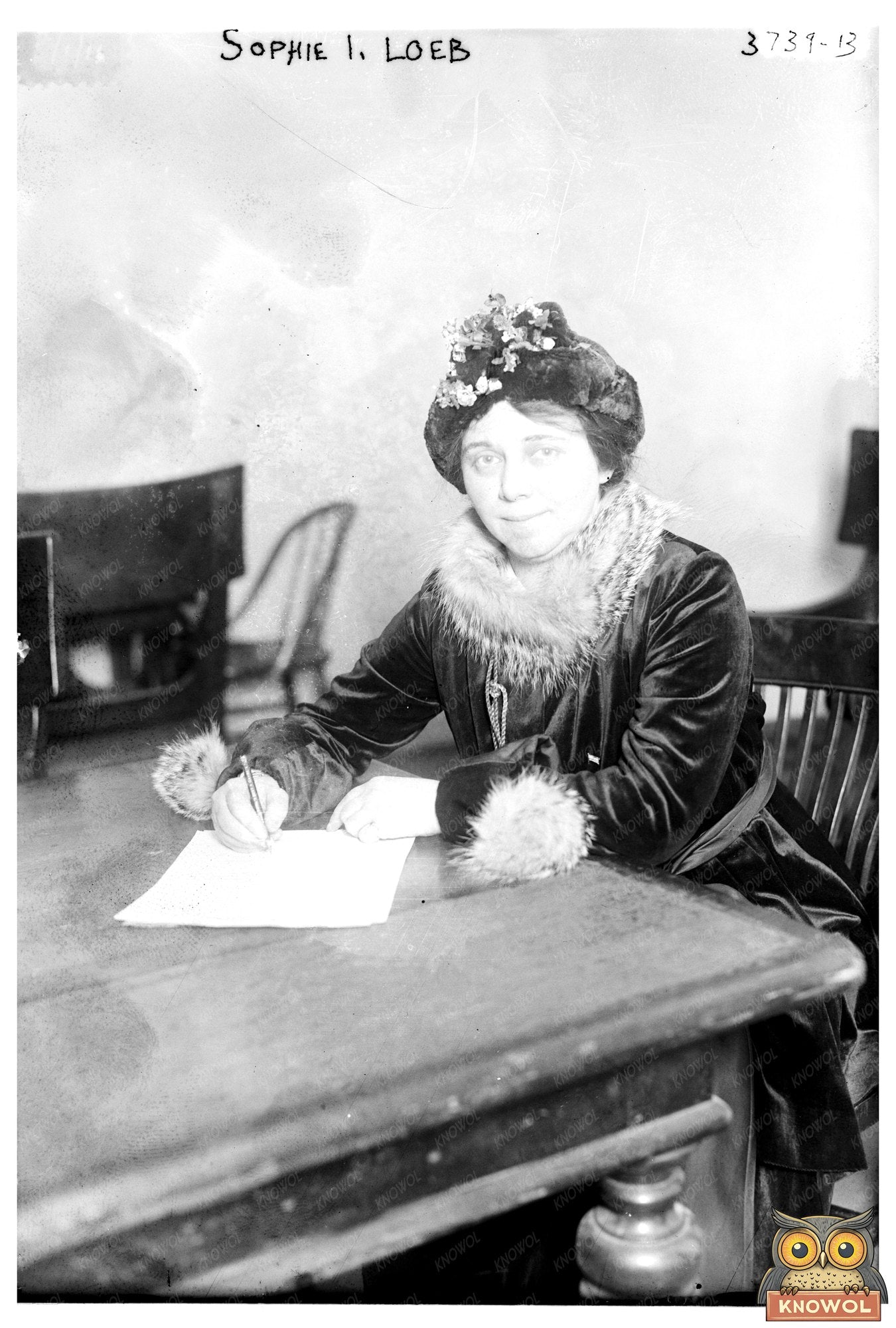 Sophie I. Loeb: Advocate for Social Reform 1915-1920