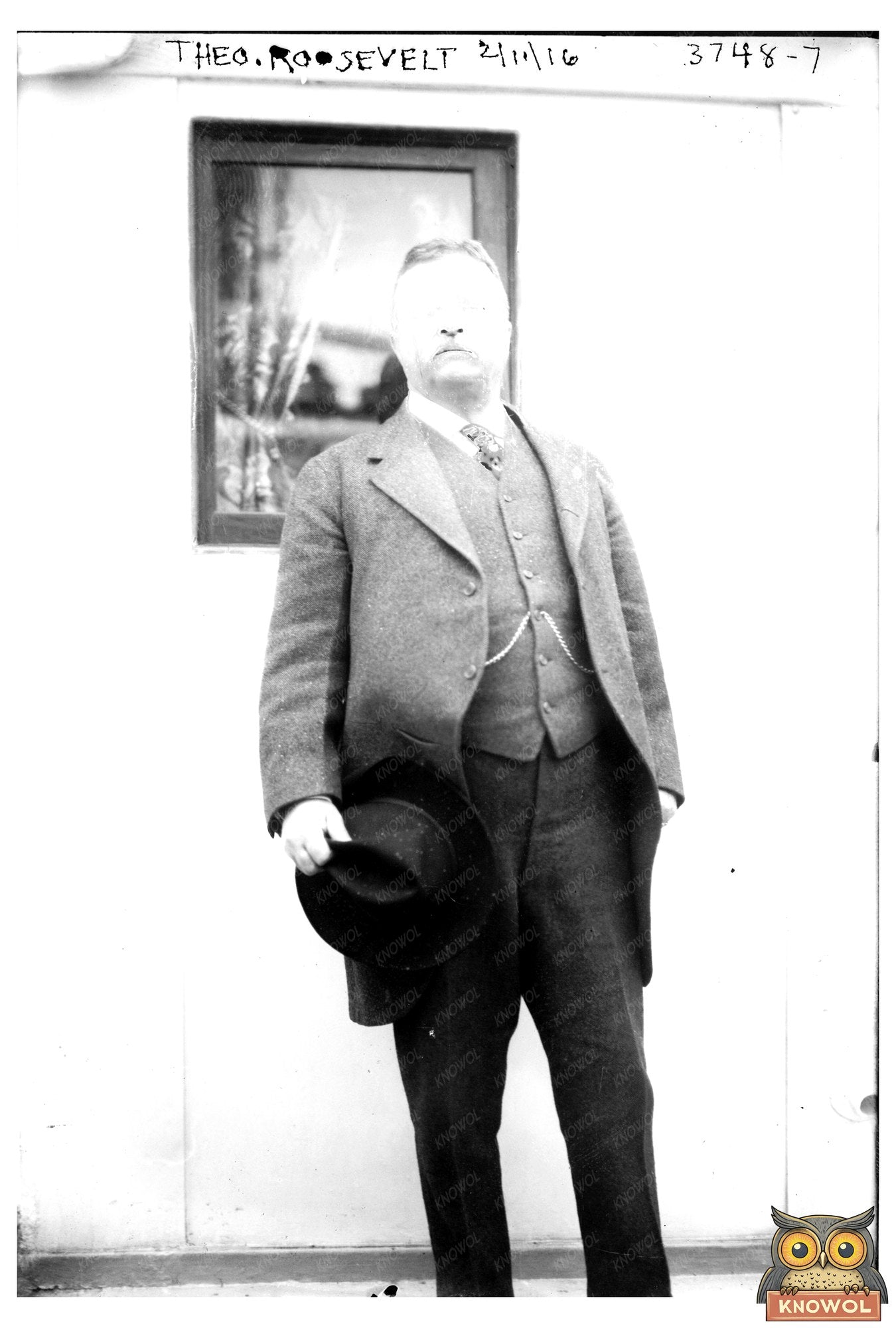 Historic Portrait of Theodore Roosevelt, 1916