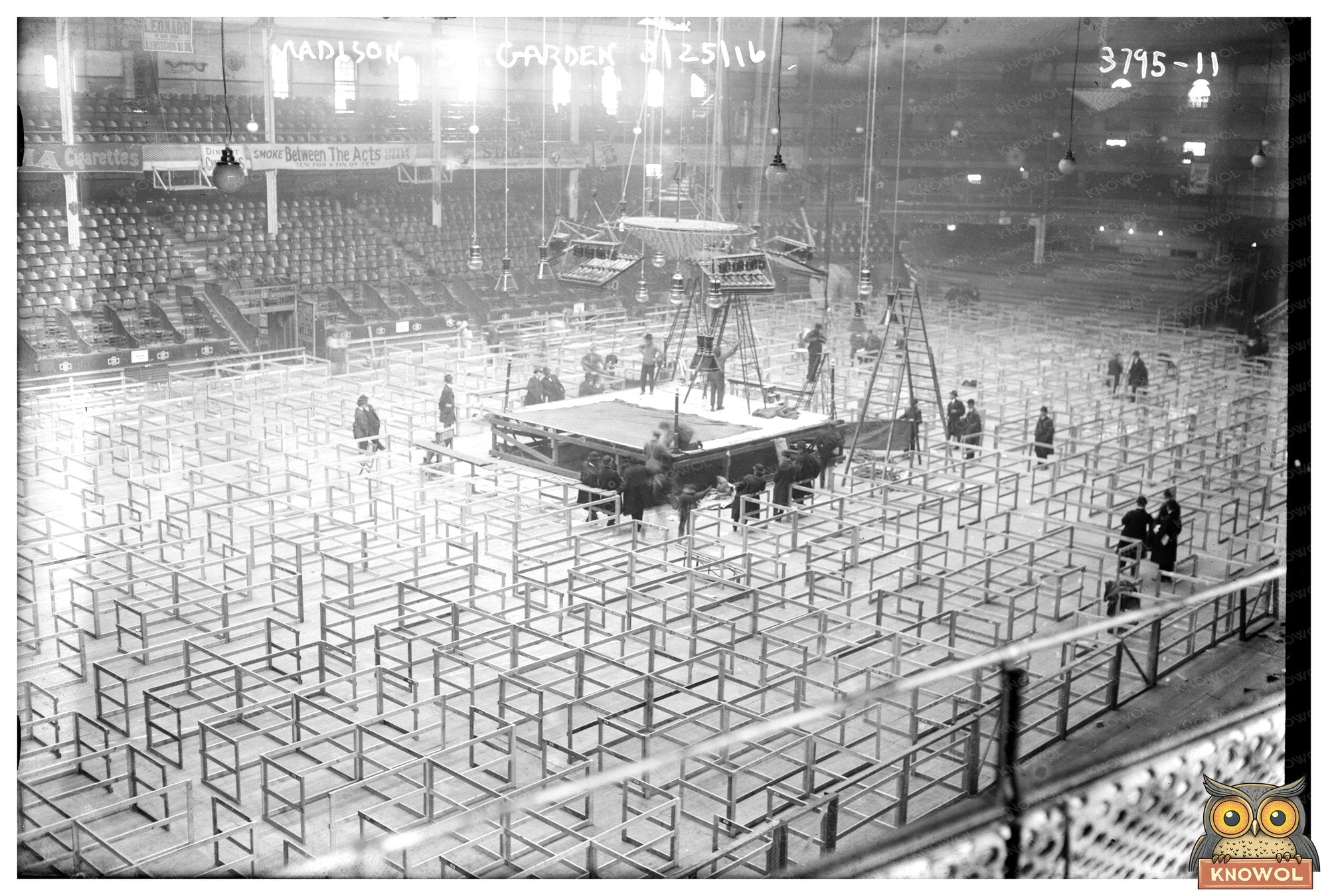 Vibrant Night at Madison Square Garden, 2016