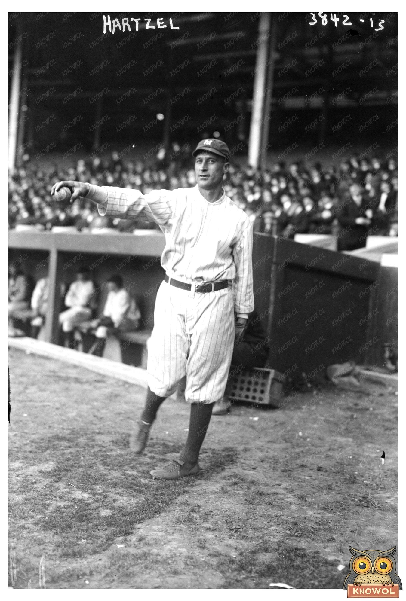 1915 Roy Hartzell: Star Outfielder of New York AL