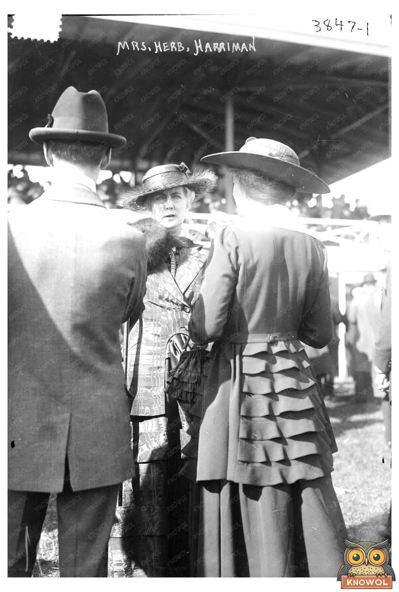 Mrs. Herb Harriman: Vintage 1910s Glass Negative Portrait