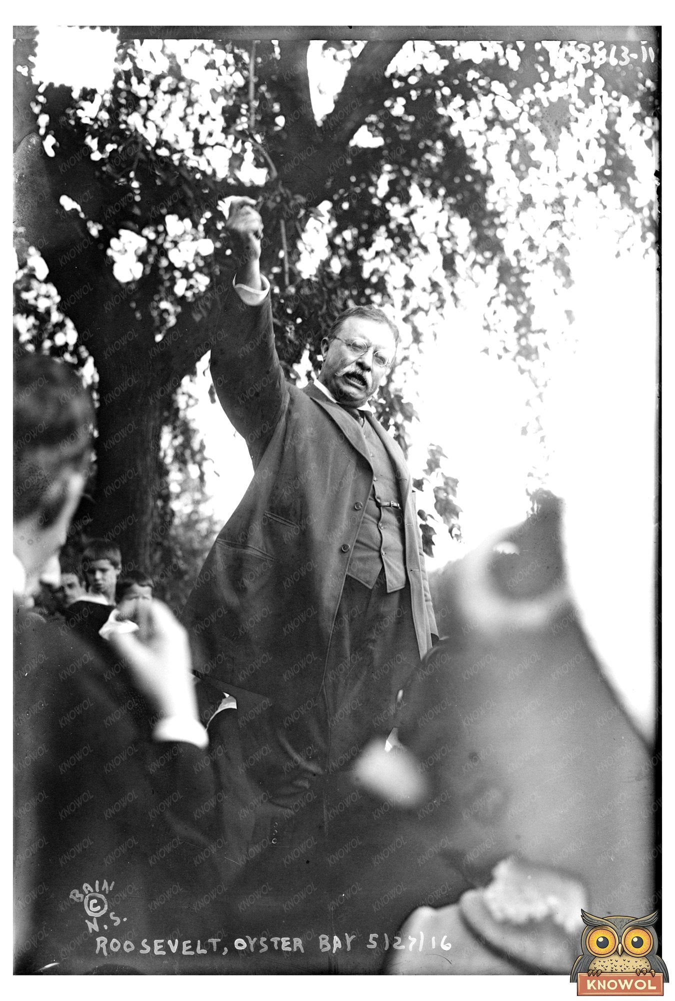 Roosevelts Reflective Moment at Oyster Bay, 1916