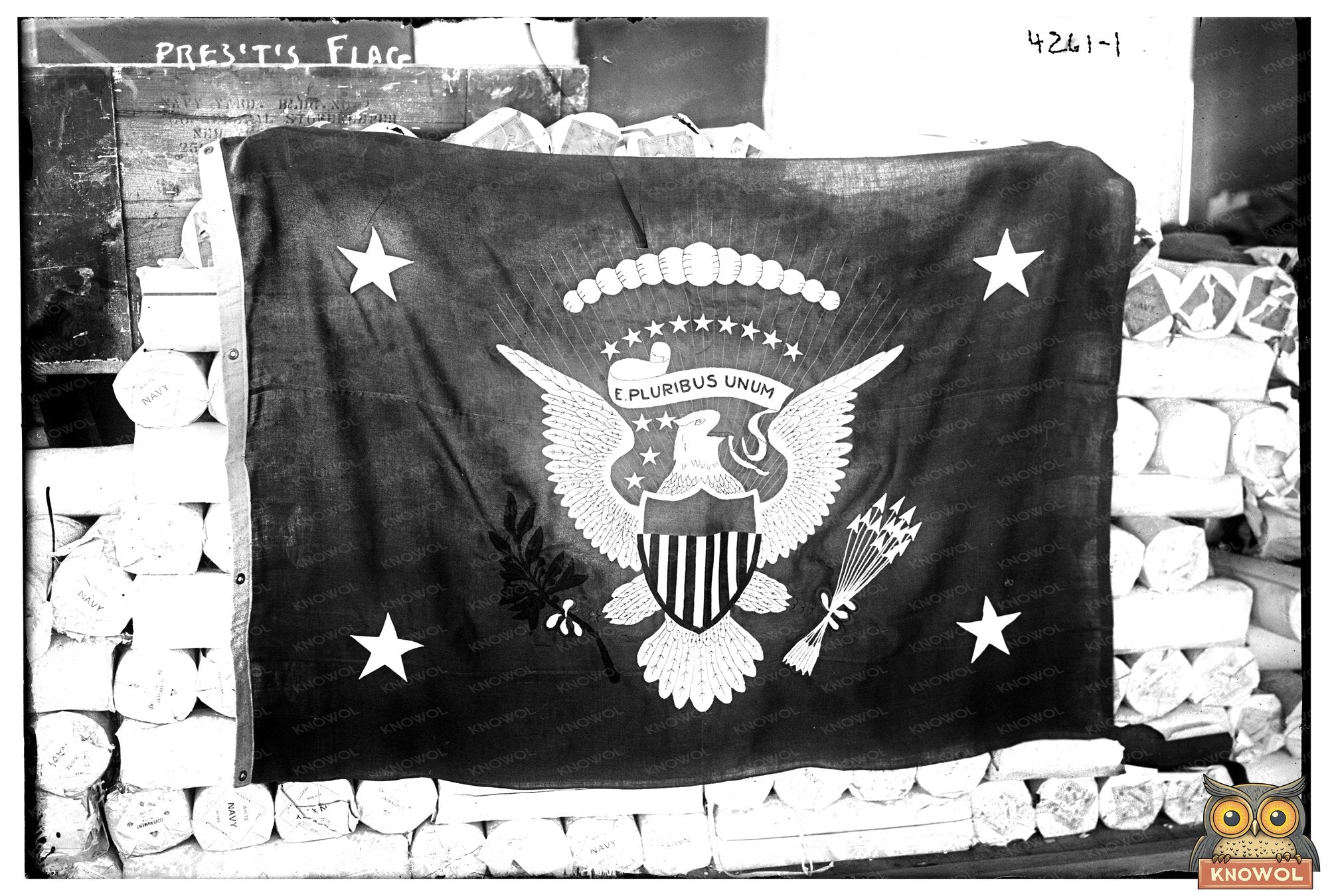 1917 Presidential Flag on Display: A Historic Emblem
