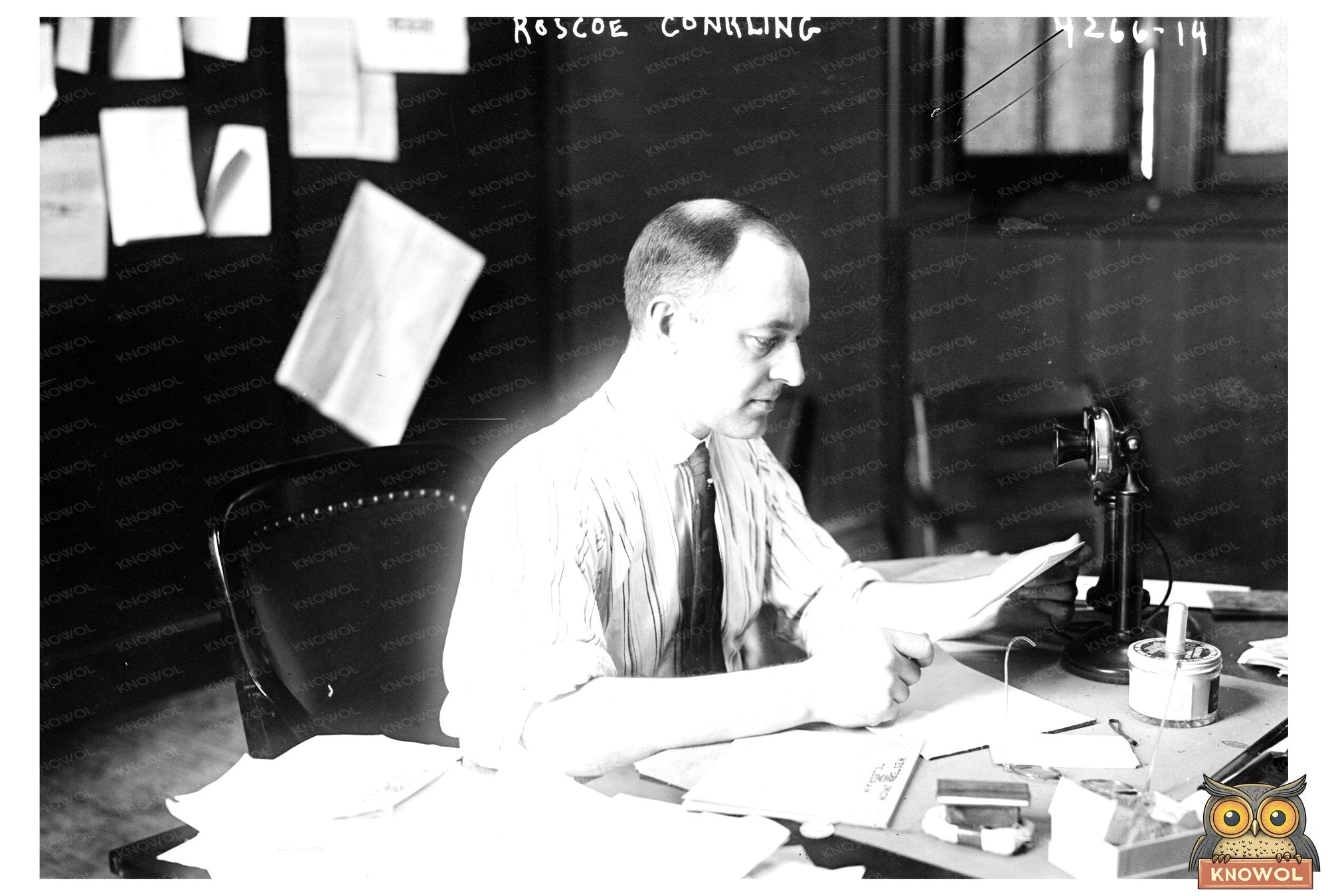 Portrait of a Gilded Age Senator: Roscoe Conkling