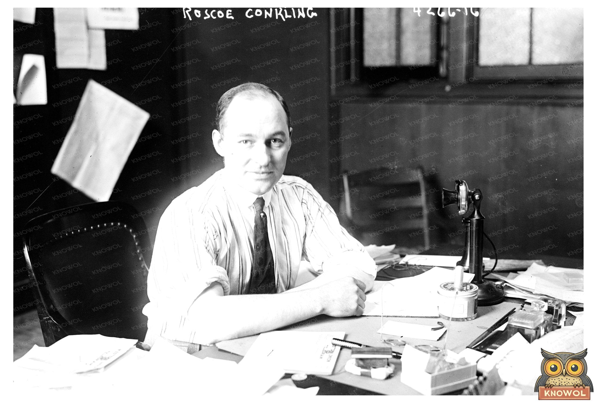 Elegance of a Gilded Age Politician - Roscoe Conkling