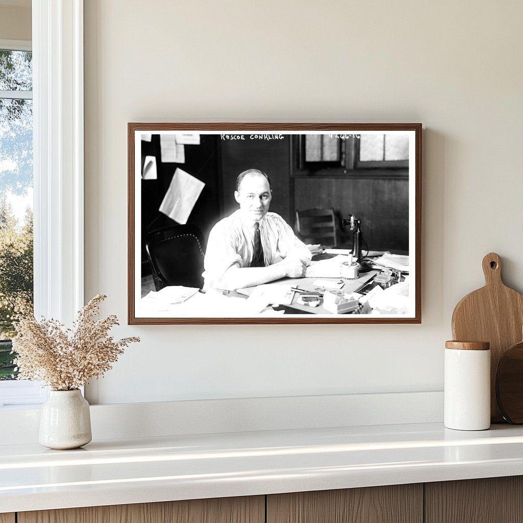 Elegance of a Gilded Age Politician - Roscoe Conkling