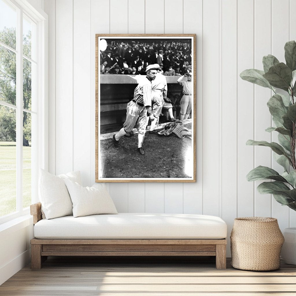 1917 Nemo Leibold: Chicago White Sox Baseball Star