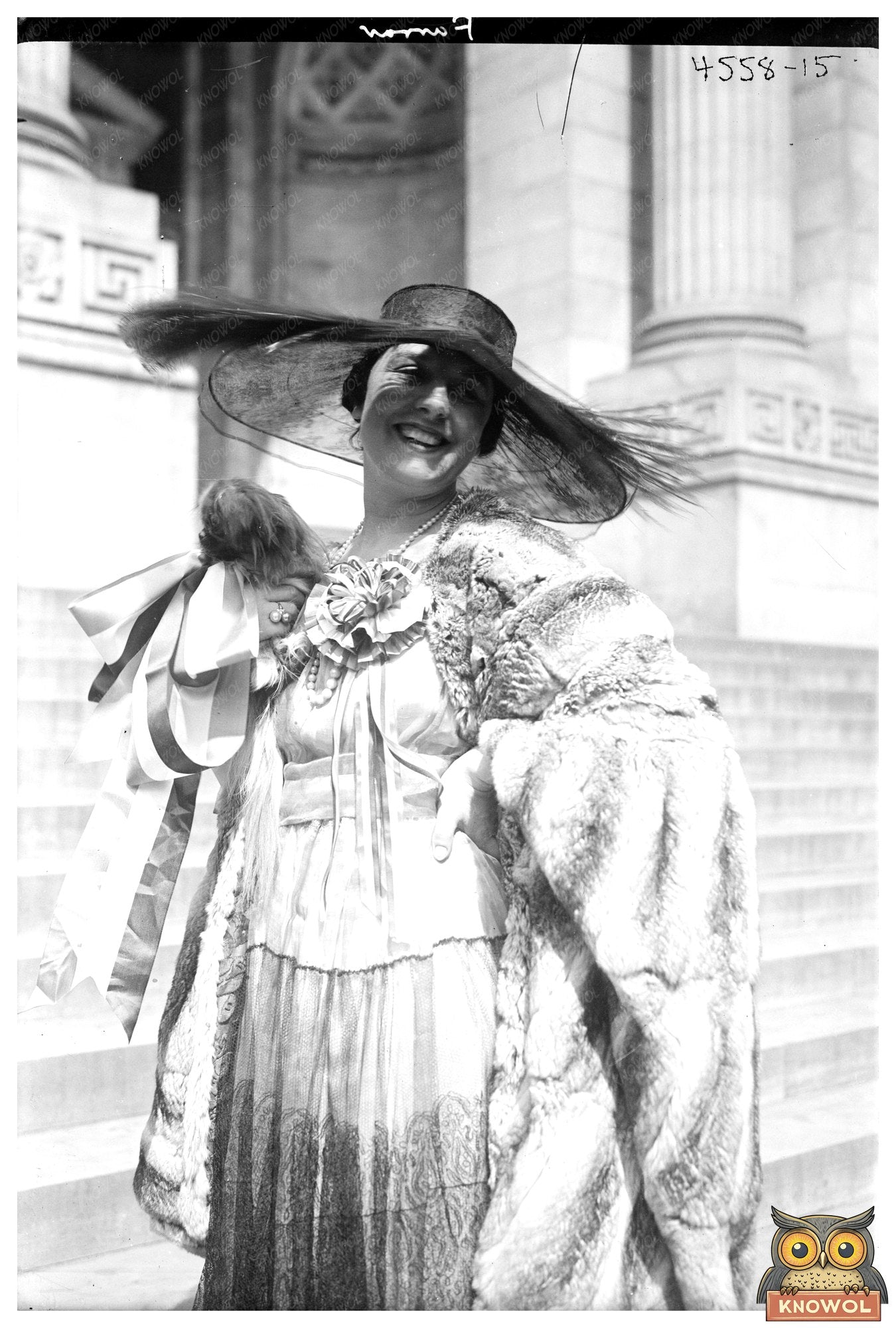 1918 Military Sentinel: A World War I Moment