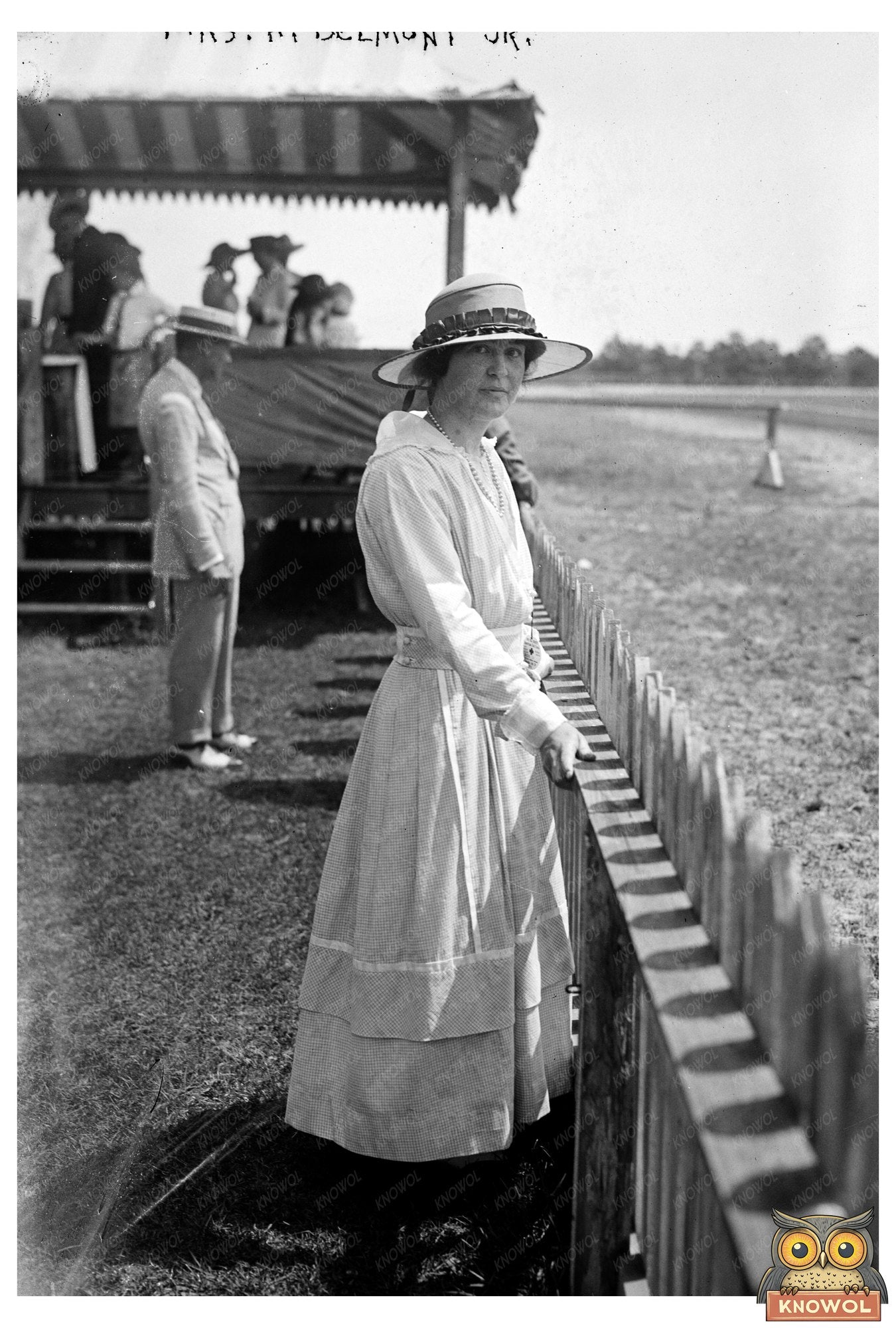 Elegant Portrait of a 1910s Socialite
