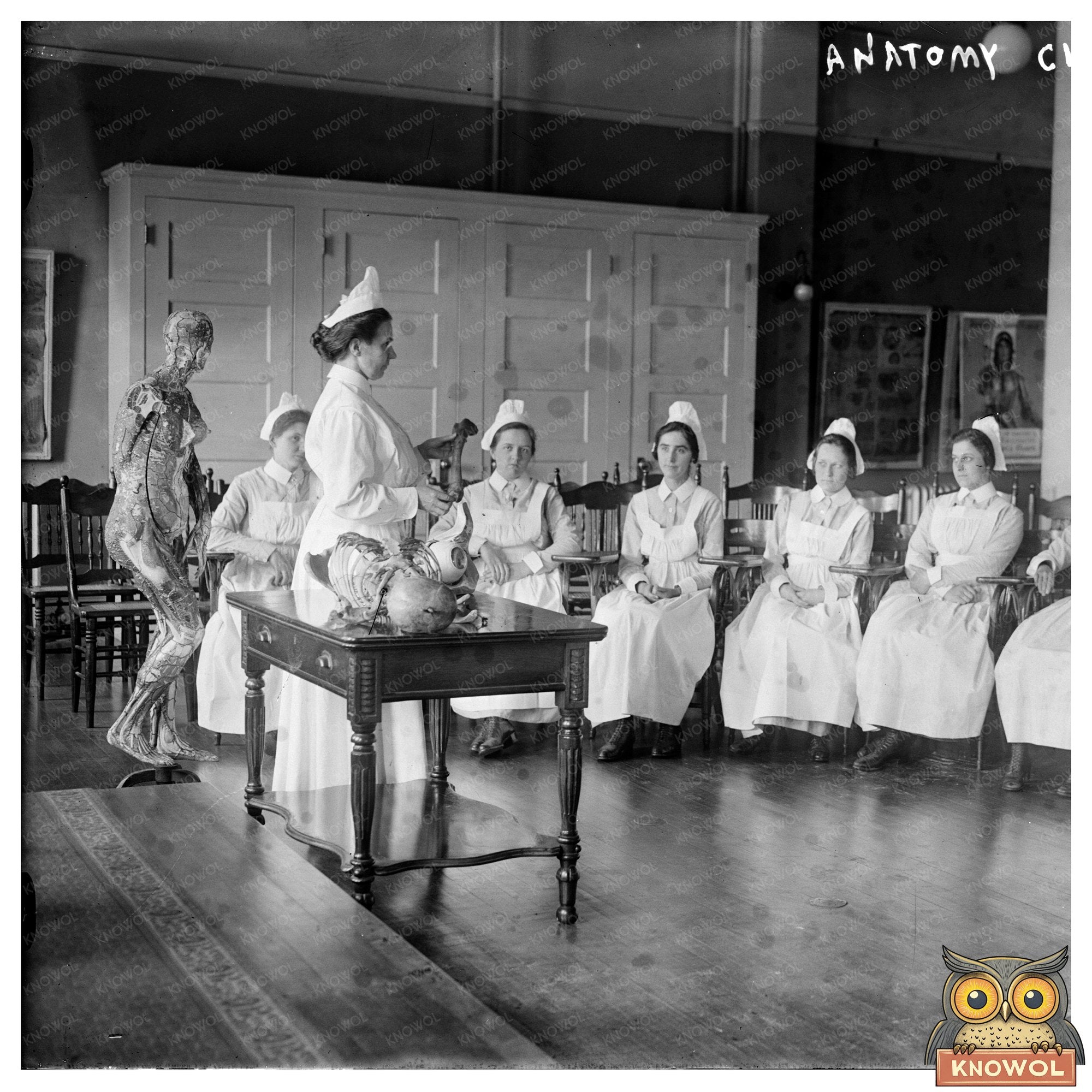 Early 20th Century Anatomy Class in Session