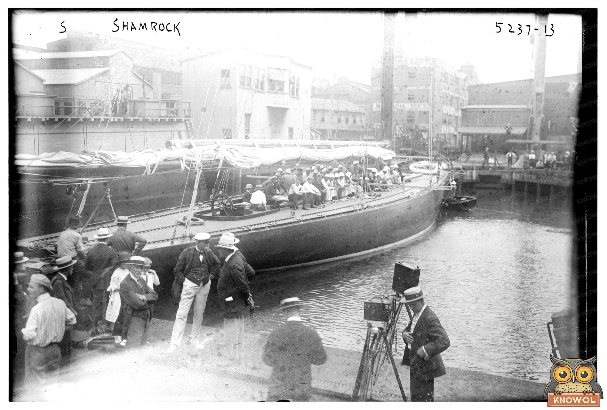 1920 Historic Glass Negative of a Shamrock Plant