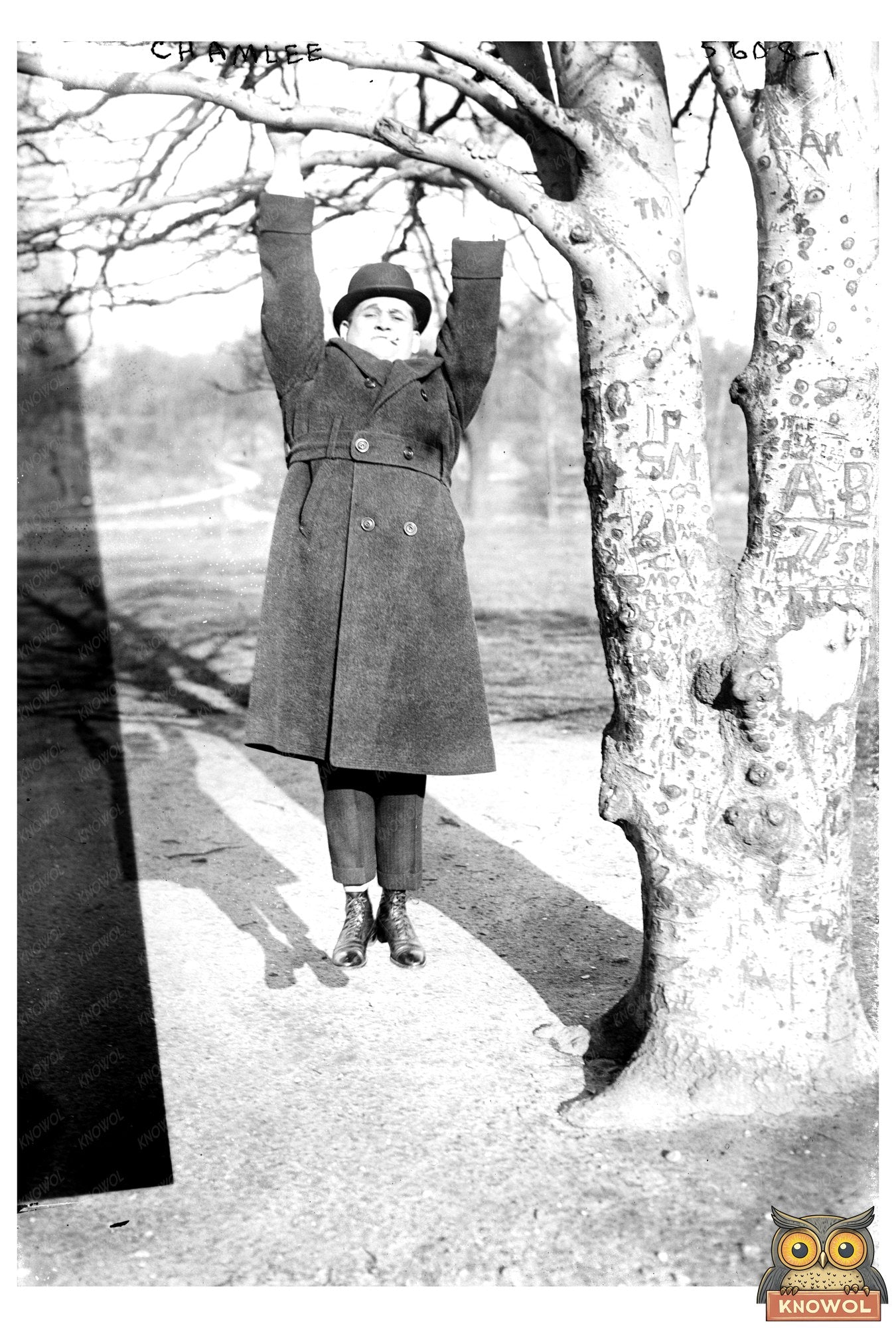 1920s Historical Image: Chamlee Suspended from Tree