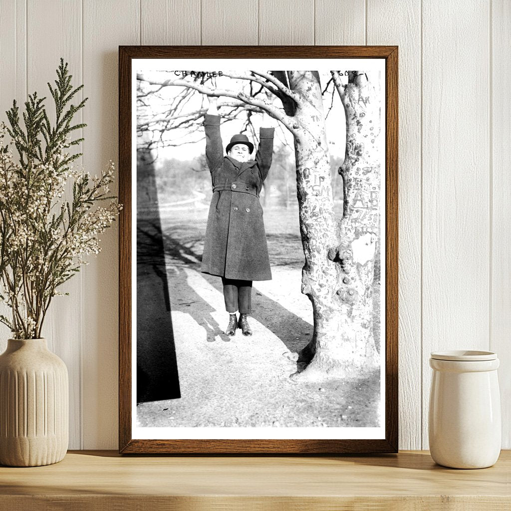 1920s Historical Image: Chamlee Suspended from Tree