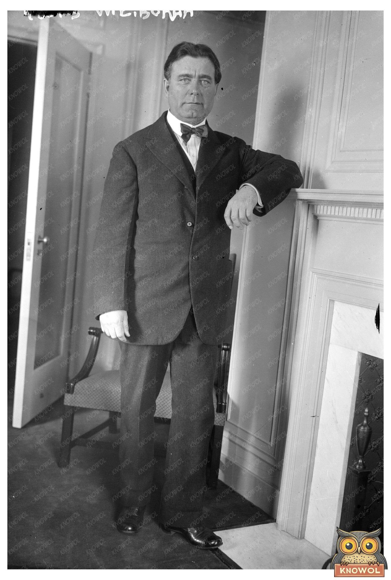 Influential Early 20th Century Politician Portrait