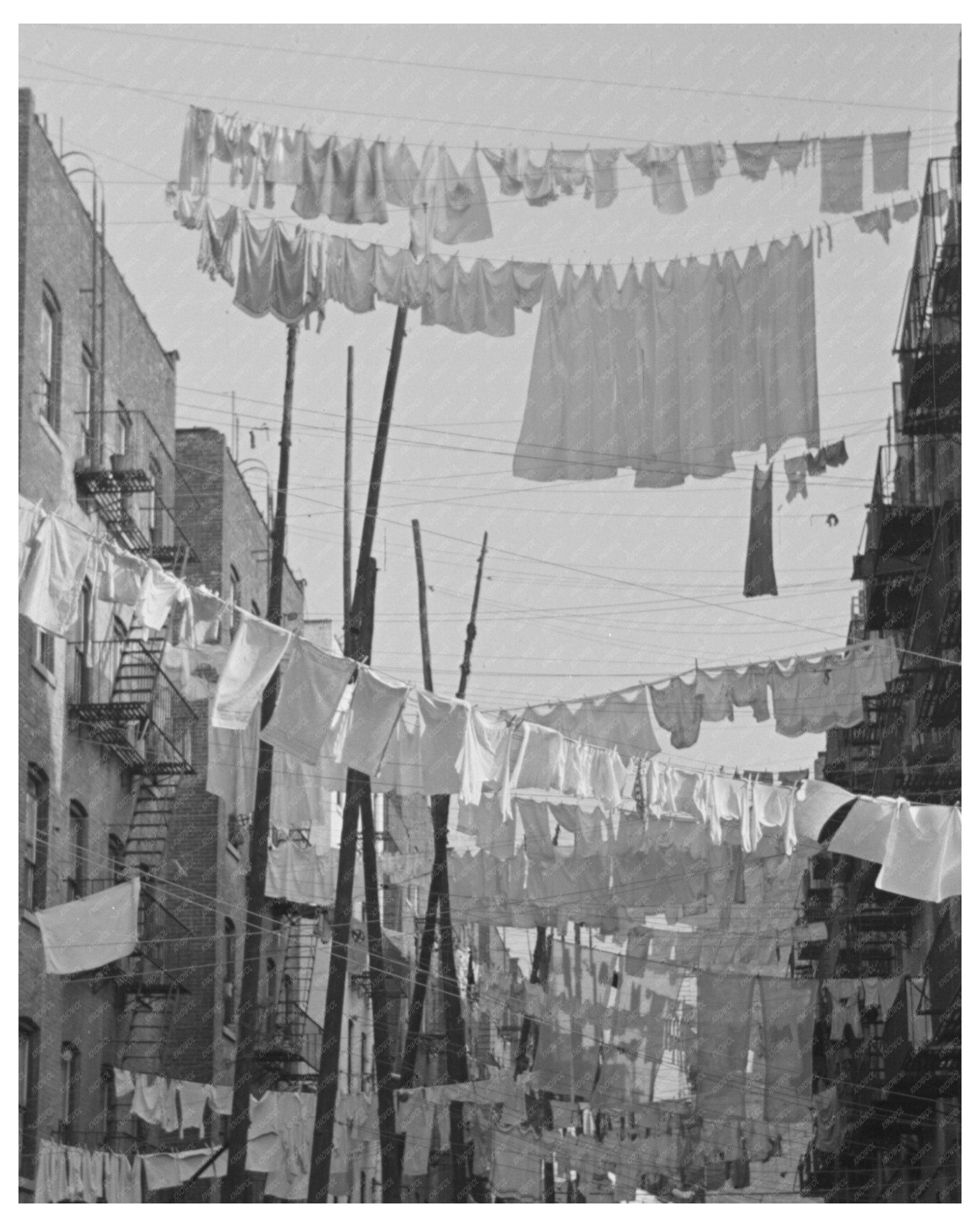 Bronx Urban Scene with Laundry November 1936