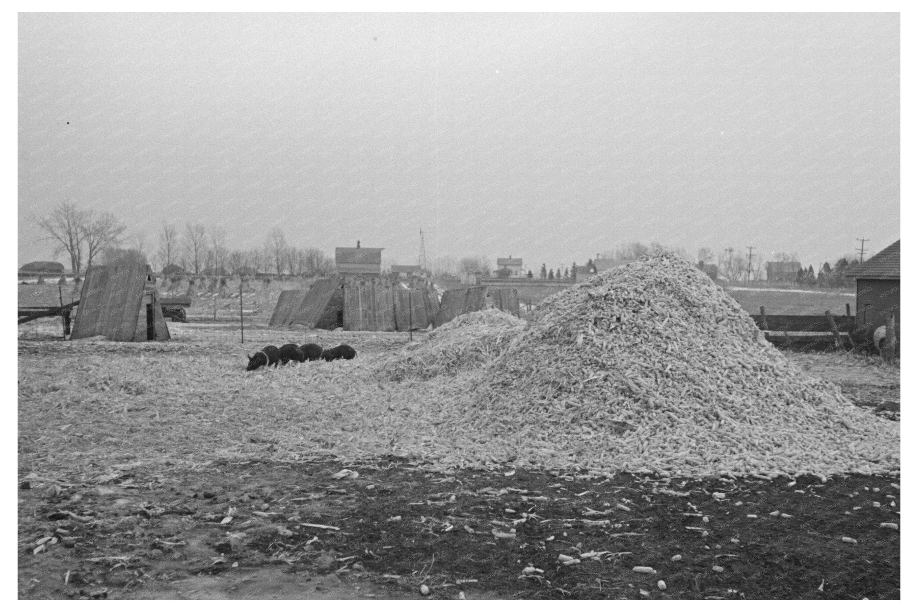 Vintage Barn on Russell Natterstad Farm Iowa 1936