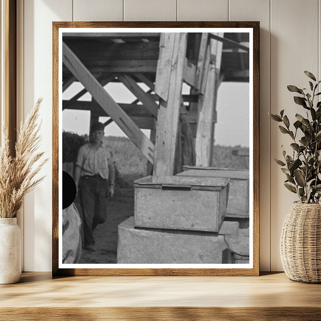 1937 Man Recording Pea Vines at Wisconsin Vinery