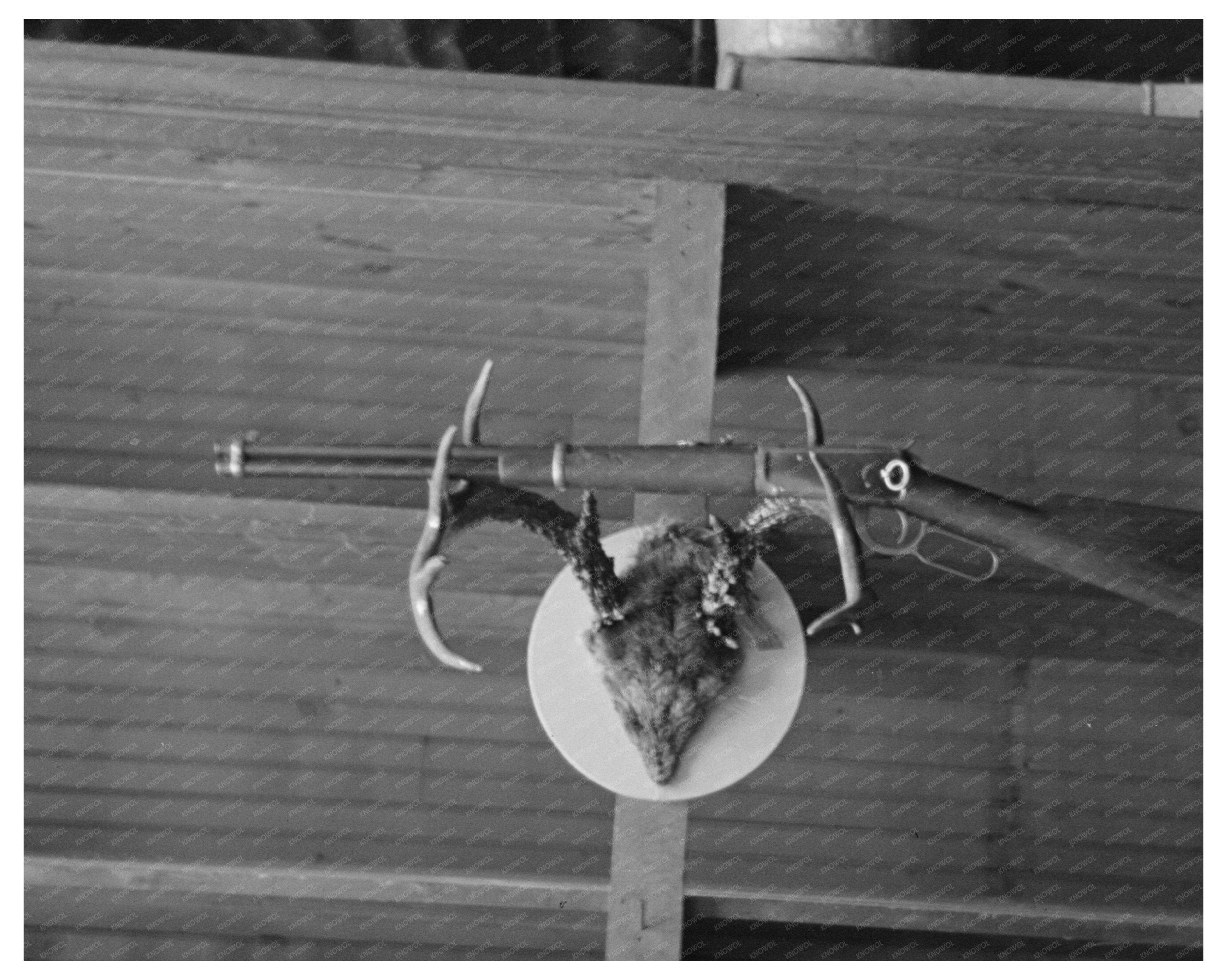 Vintage 1937 Interior of Rural Minnesota Home