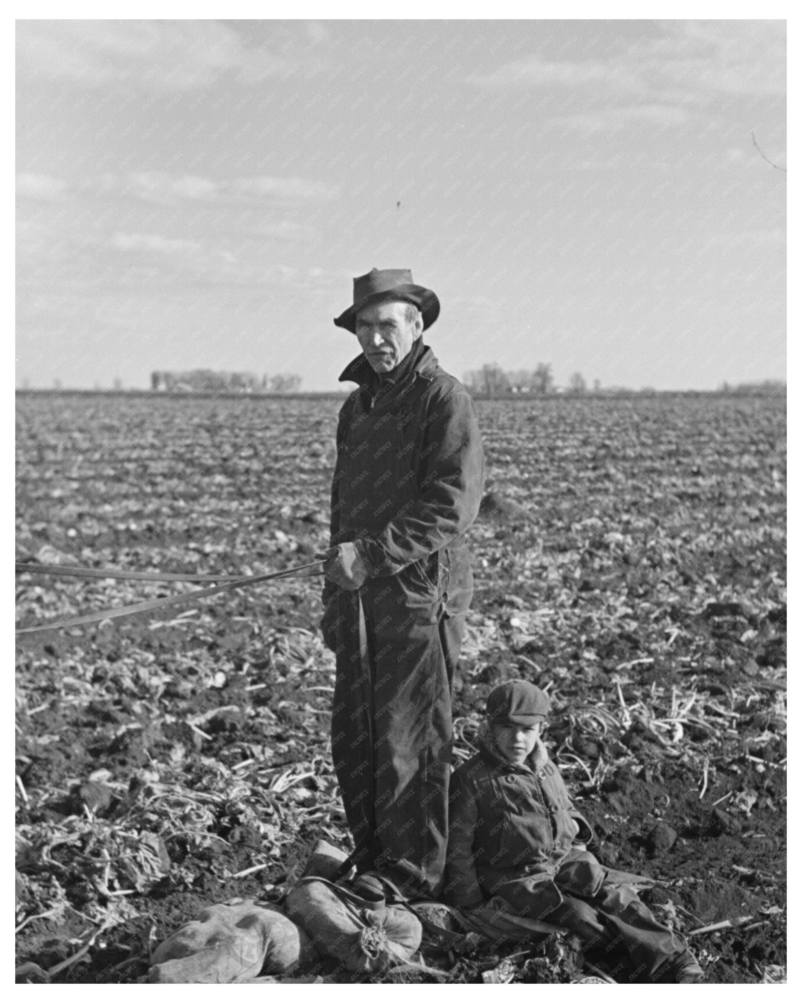 Beet Worker and Child in Minnesota Field October 1937