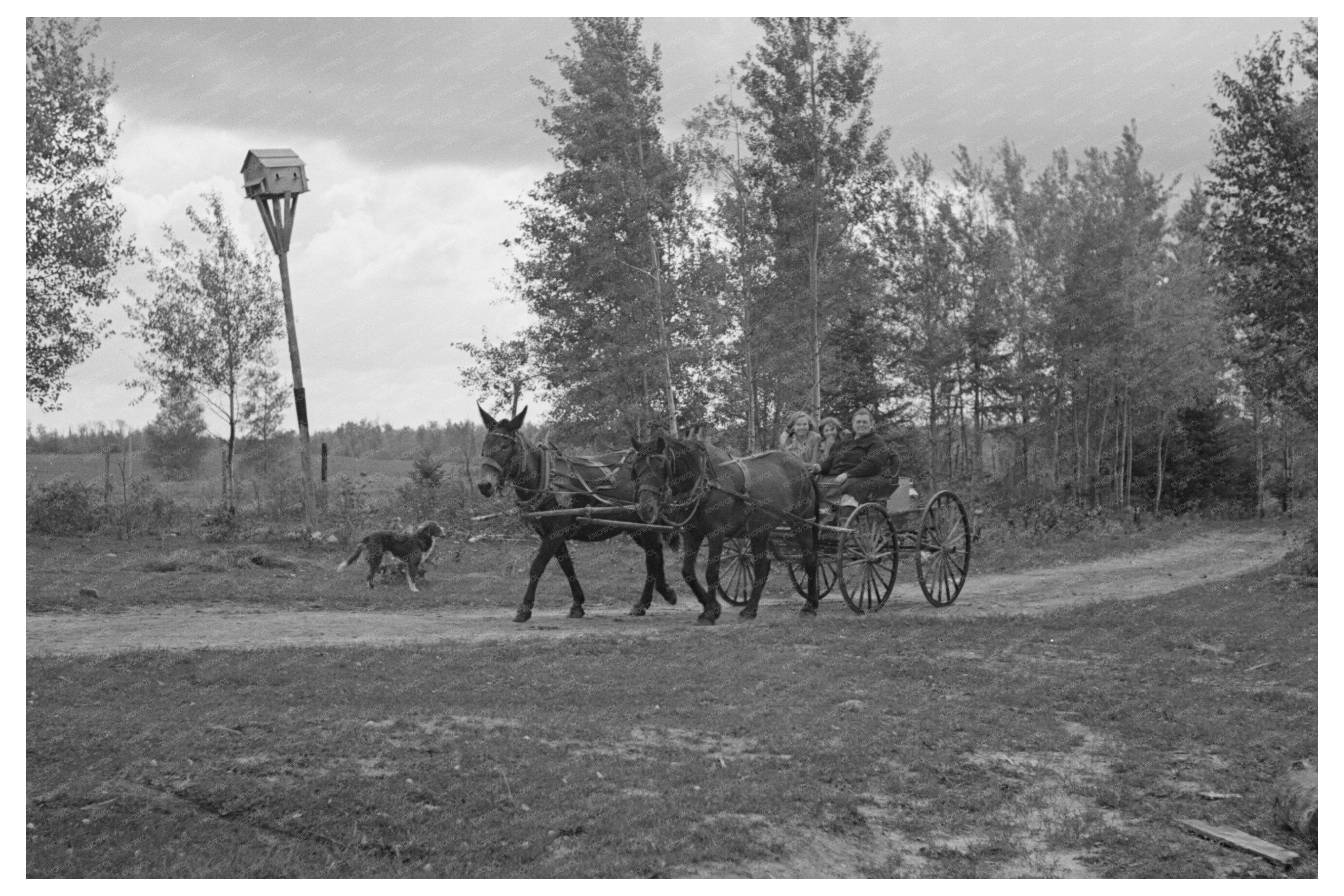 Vintage 1937 Northome Minnesota Community Scene