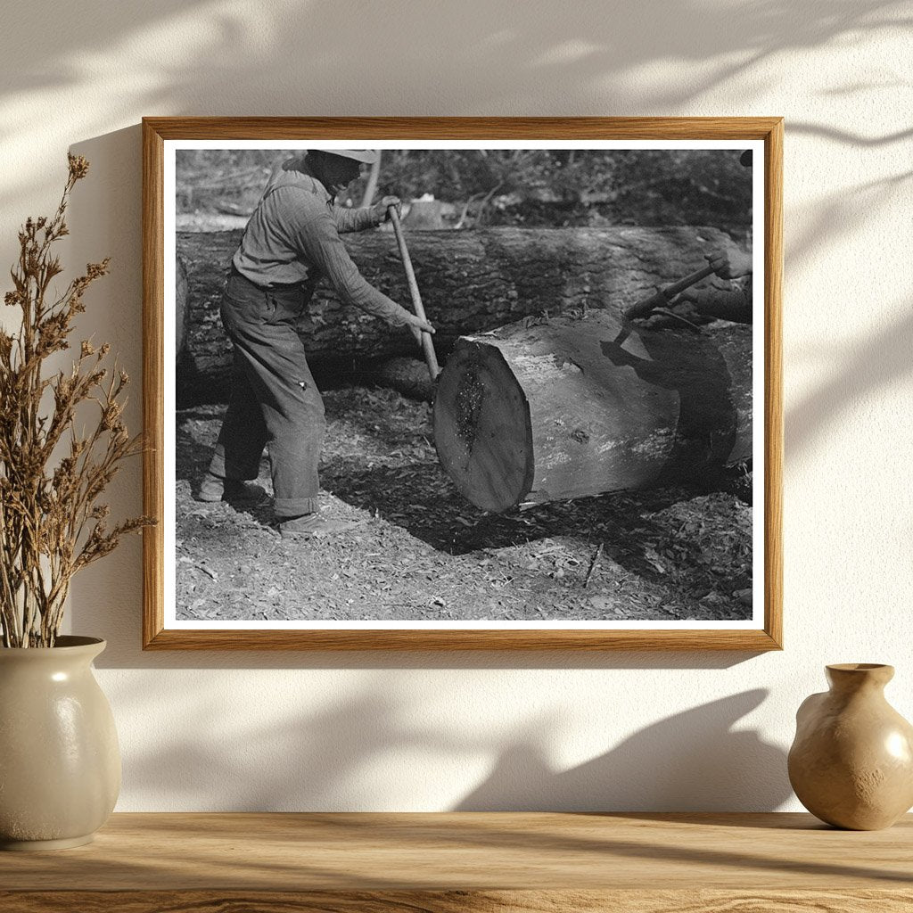 Lumberjacks Using Peaveys in Minnesota 1937