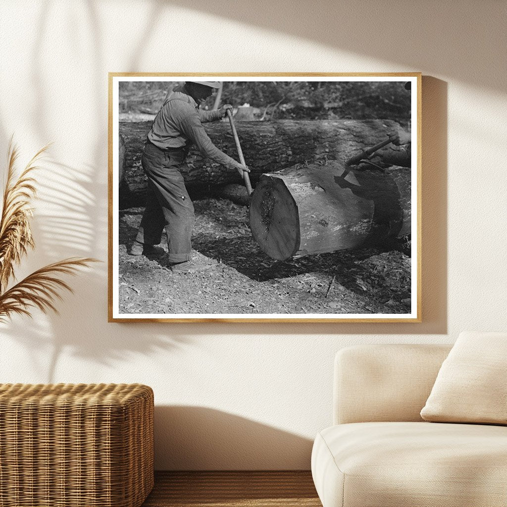 Lumberjacks Using Peaveys in Minnesota 1937