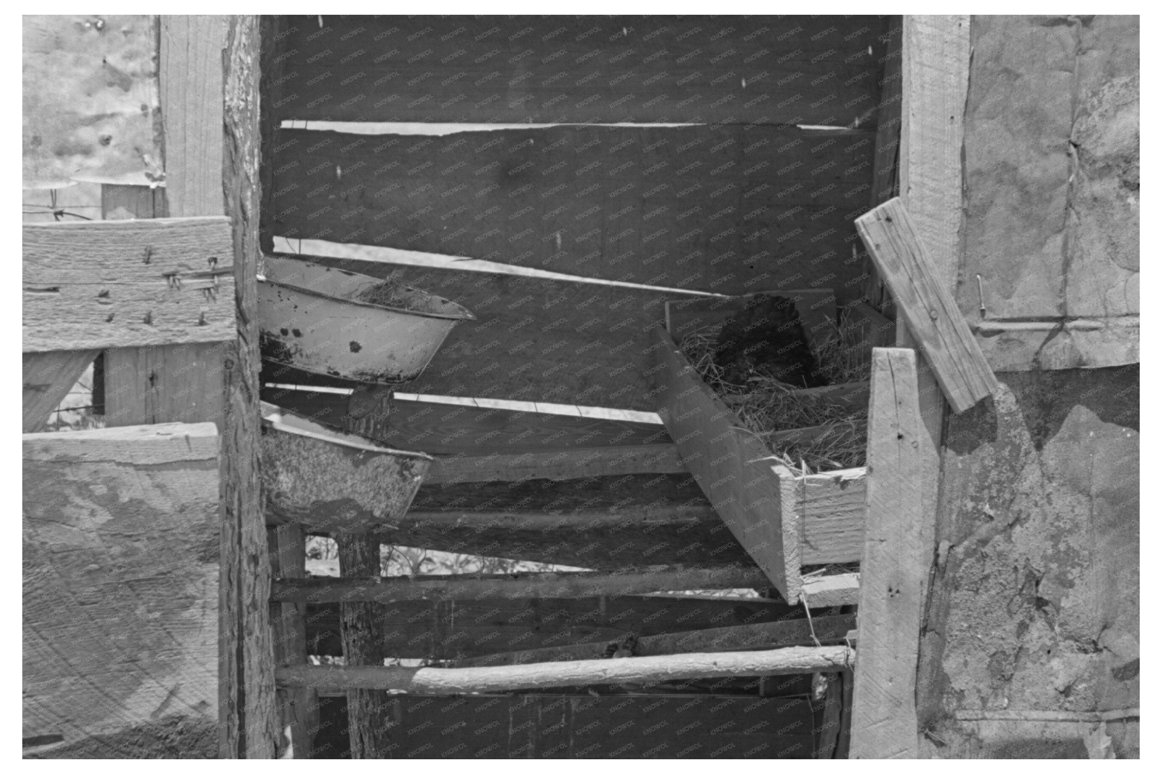 Vintage Henhouse in Shed New Madrid County 1938