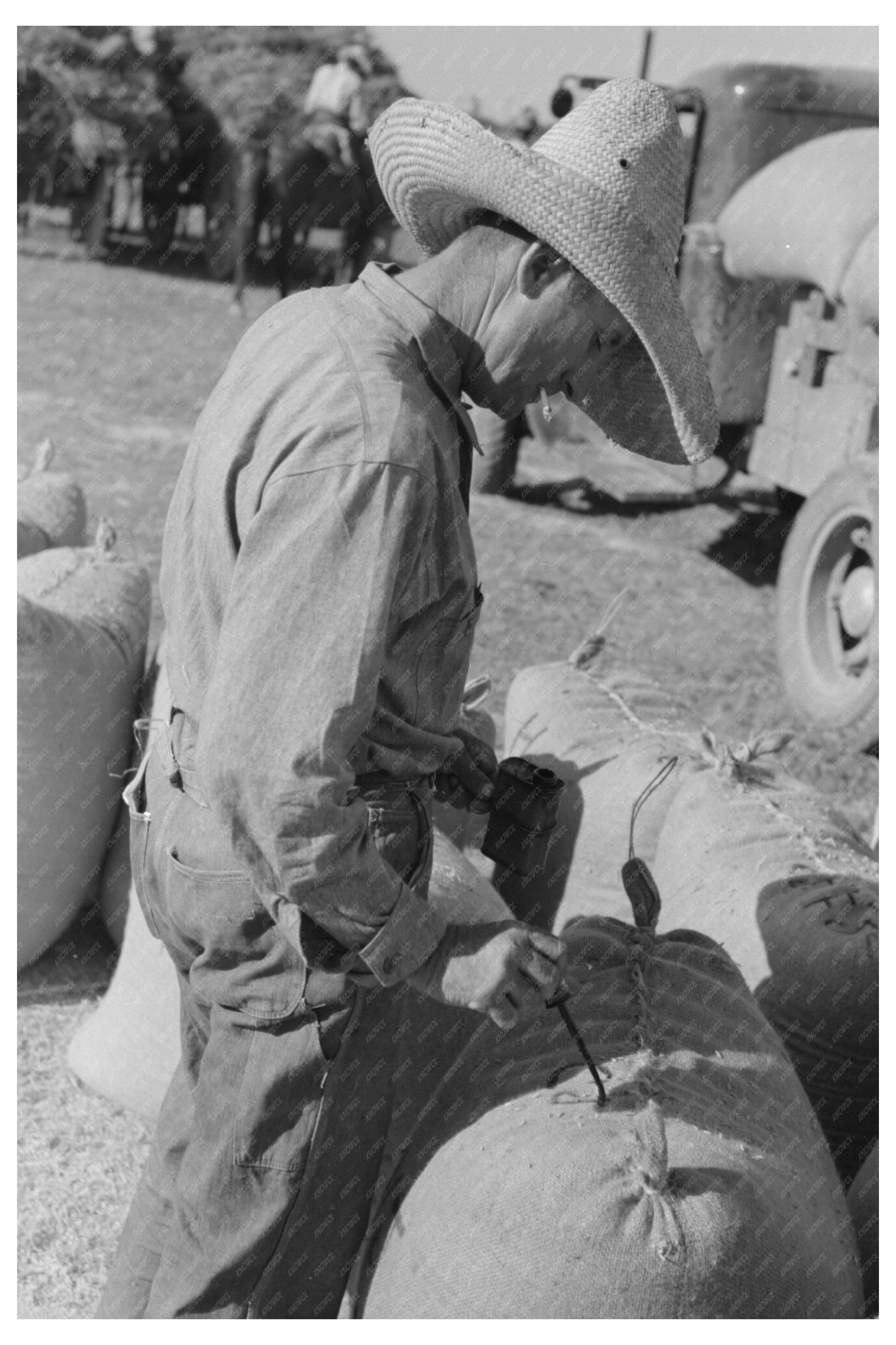 Rice Workers in Crowley Louisiana 1938 Vintage Photo